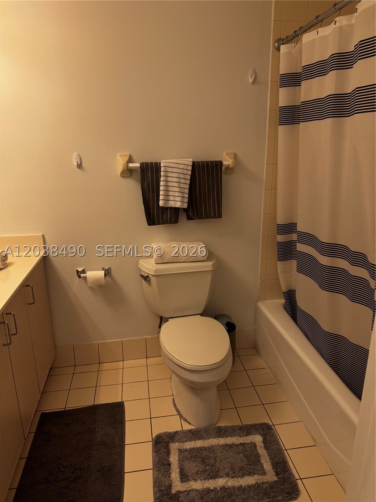 185 SE 14th Ter #1812, Miami FL 33131