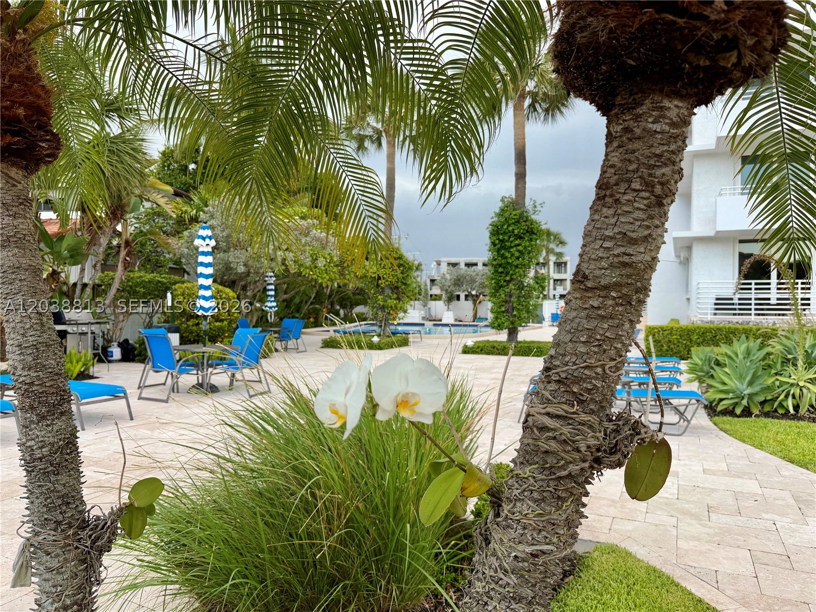 888 Intracoastal Dr #15E, Fort Lauderdale FL 33304