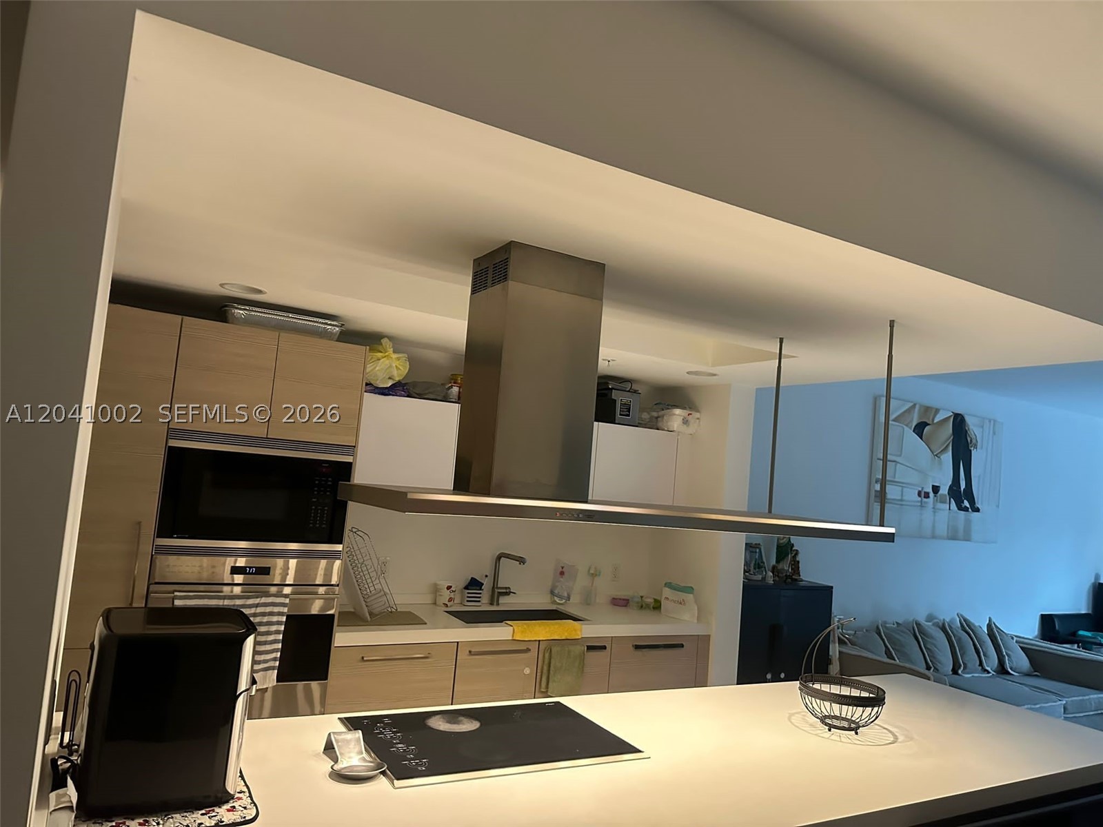 17301 Biscayne Blvd #206, North Miami Beach FL 33160