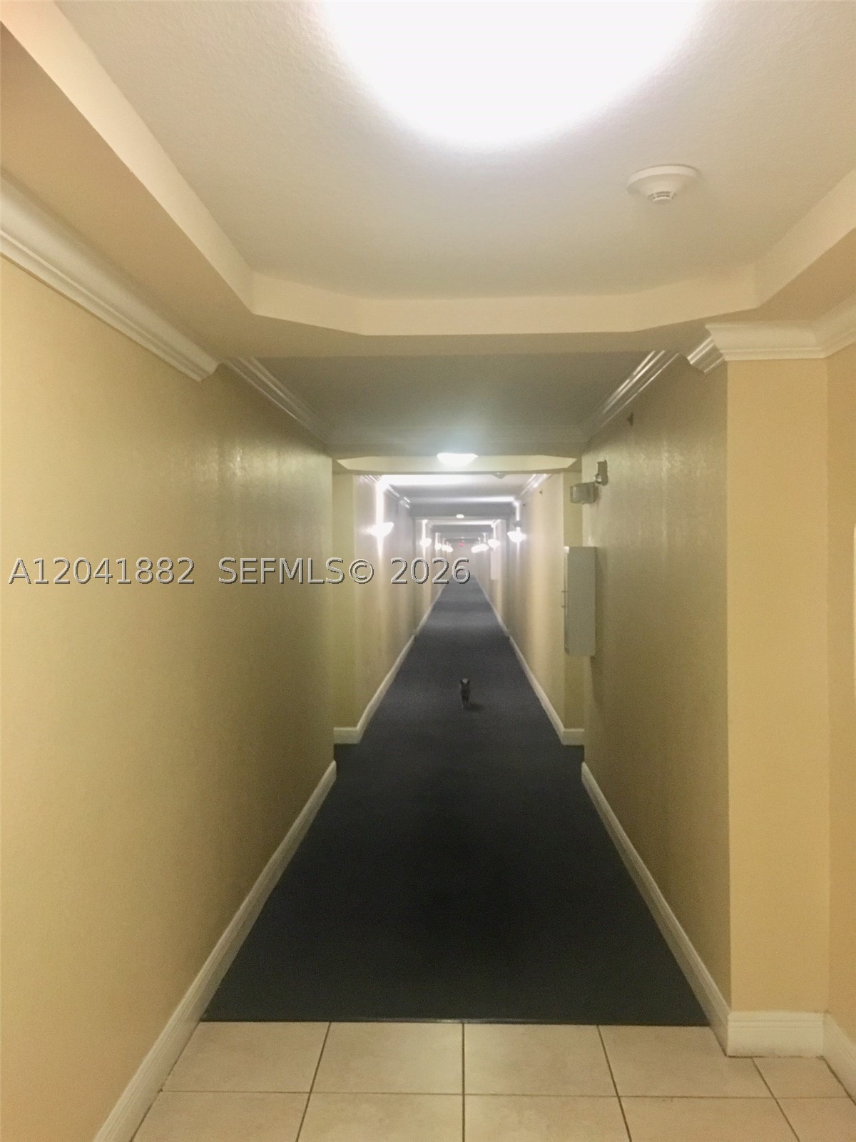 2475 NW 16th Street Rd #418, Miami FL 33125