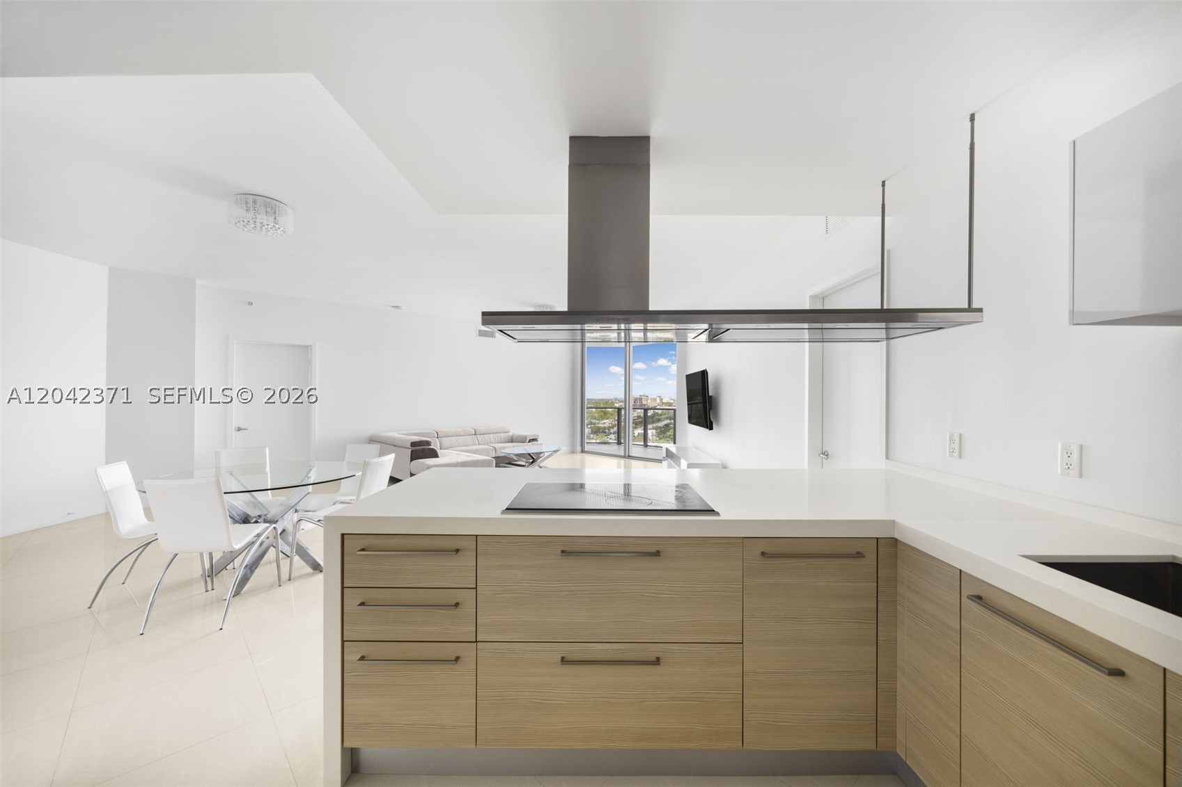 17301 Biscayne Blvd #1704, North Miami Beach FL 33160