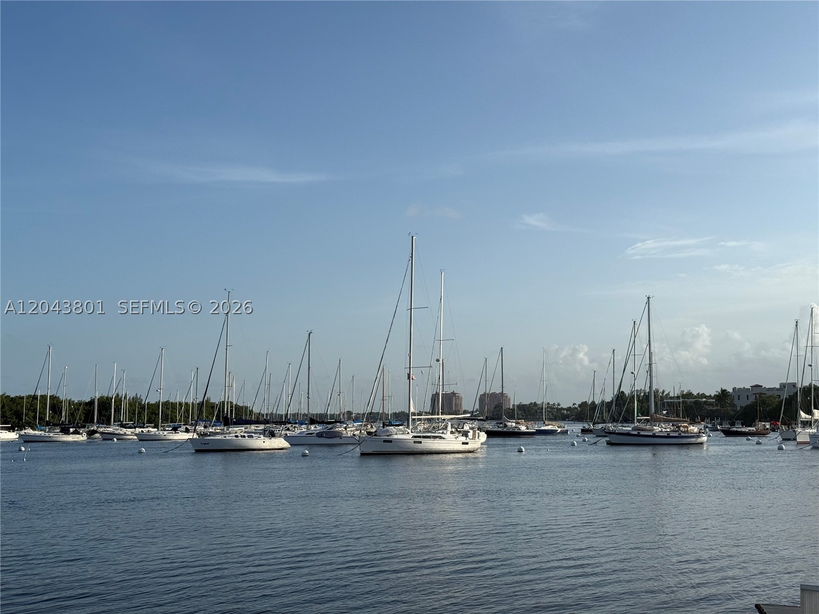 3400 SW 27th Ave #1206, Miami FL 33133