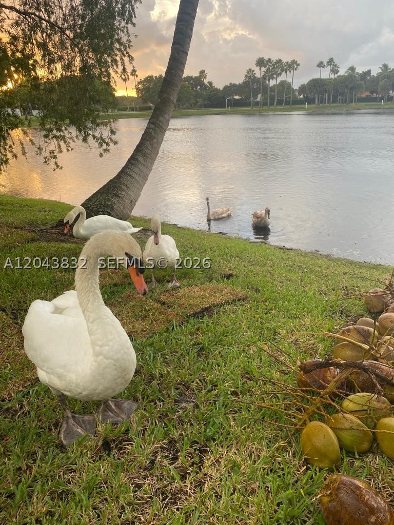 15341 NW 4 ST, Pembroke Pines FL 33028