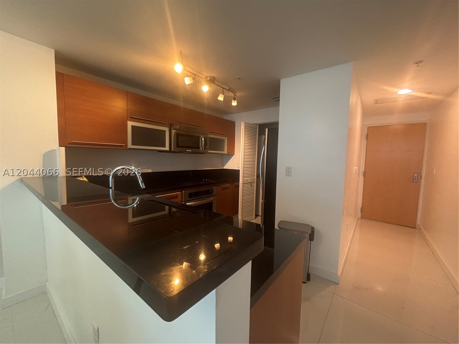 253 NE 2nd St #1204, Miami FL 33132