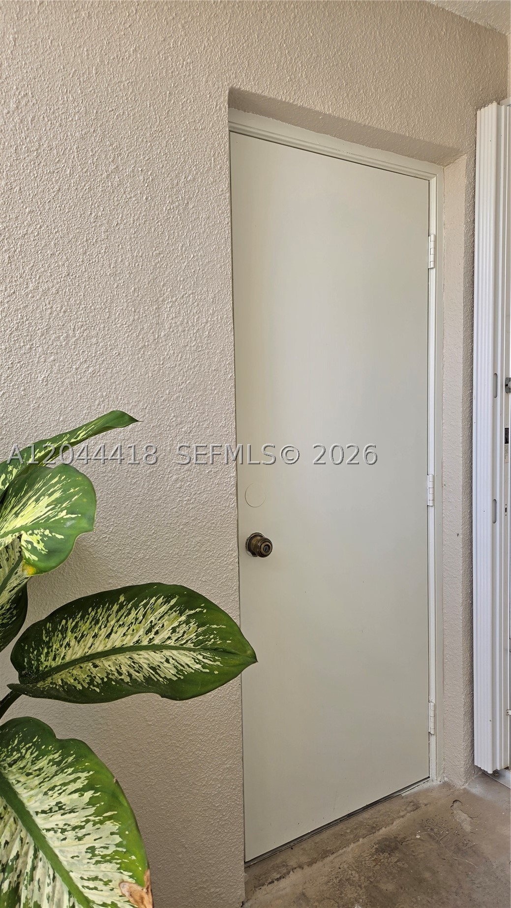 2234 SE 27th Dr #206-C, Homestead FL 33035