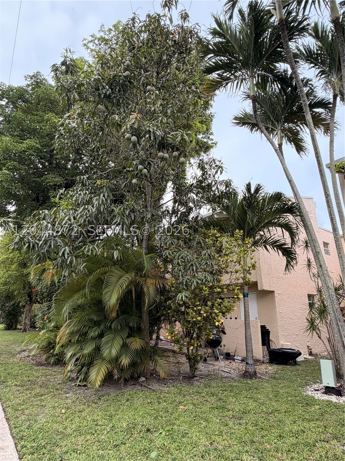 8925 NE 4 AVENUE RD #8925, Miami Shores FL 33138