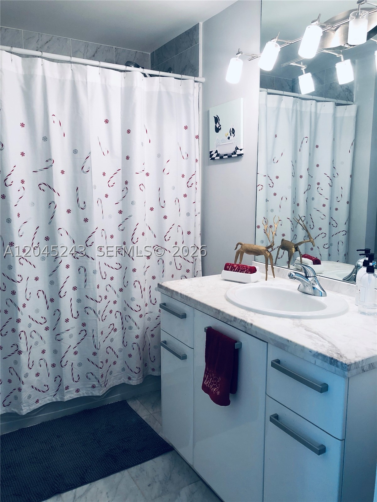 253 NE 2nd St #218, Miami FL 33132