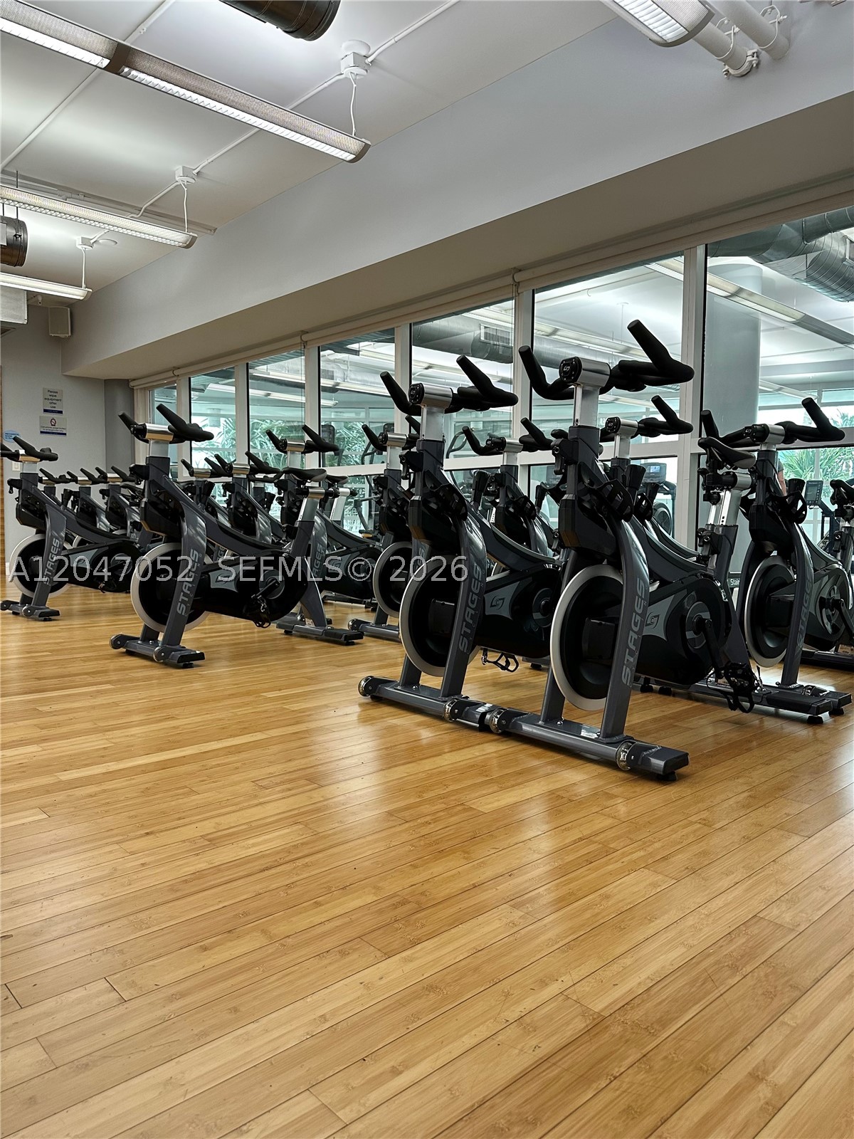 244 Biscayne Blvd #2610, Miami FL 33132