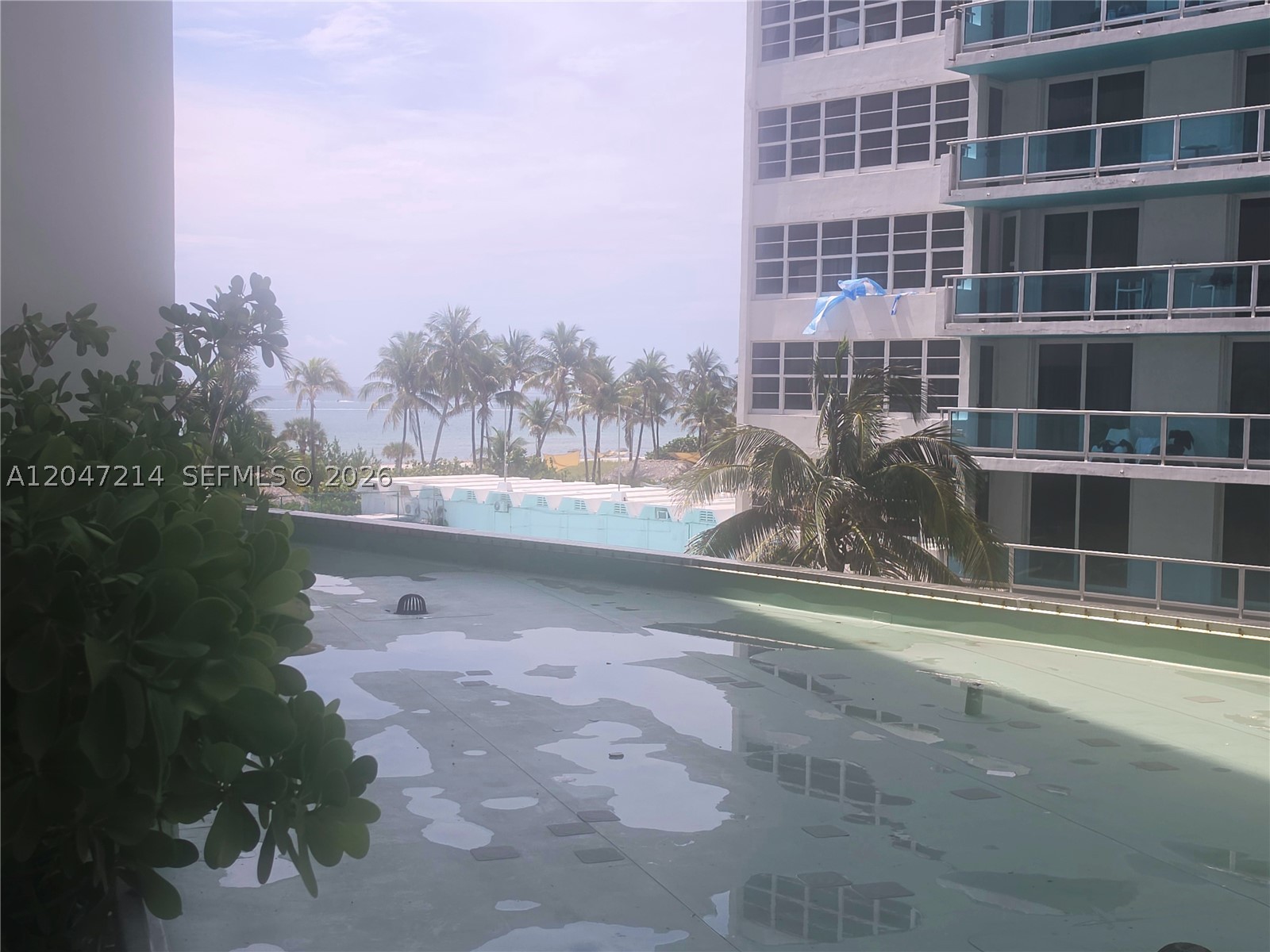 5151 Collins Ave #429, Miami Beach FL 33140