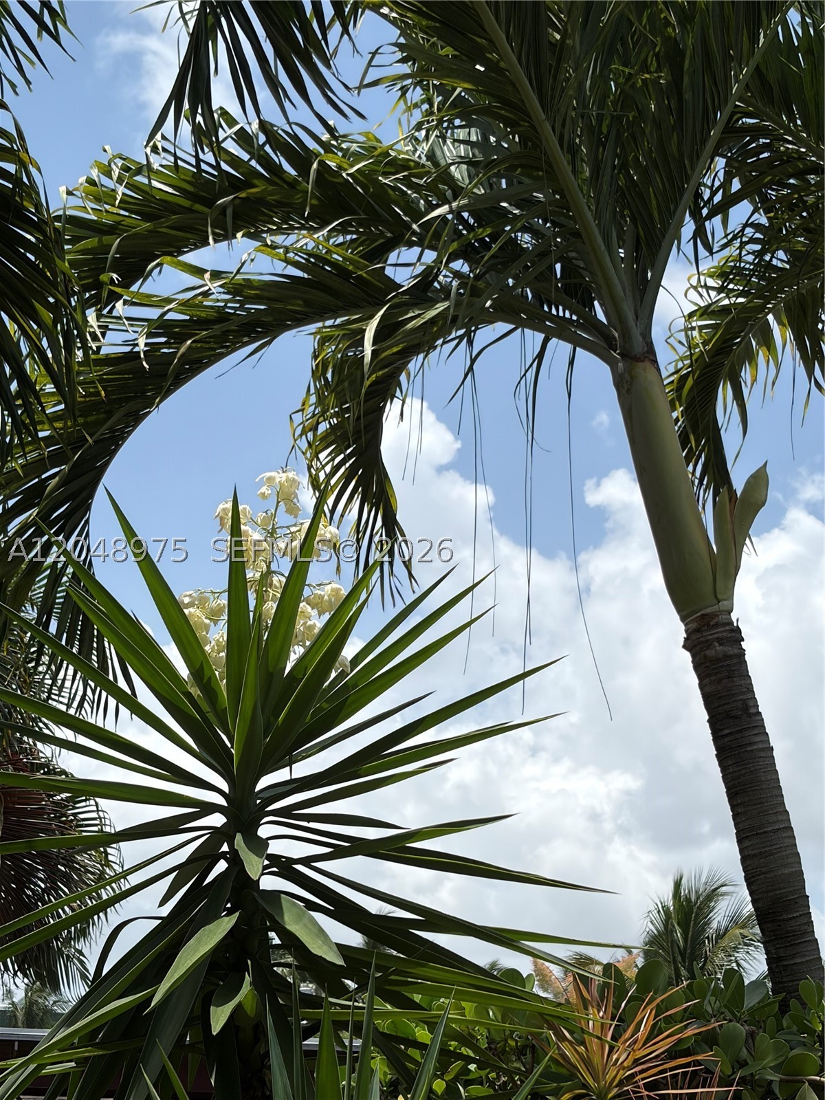 1401 Argonaut Isle, Dania Beach FL 33004
