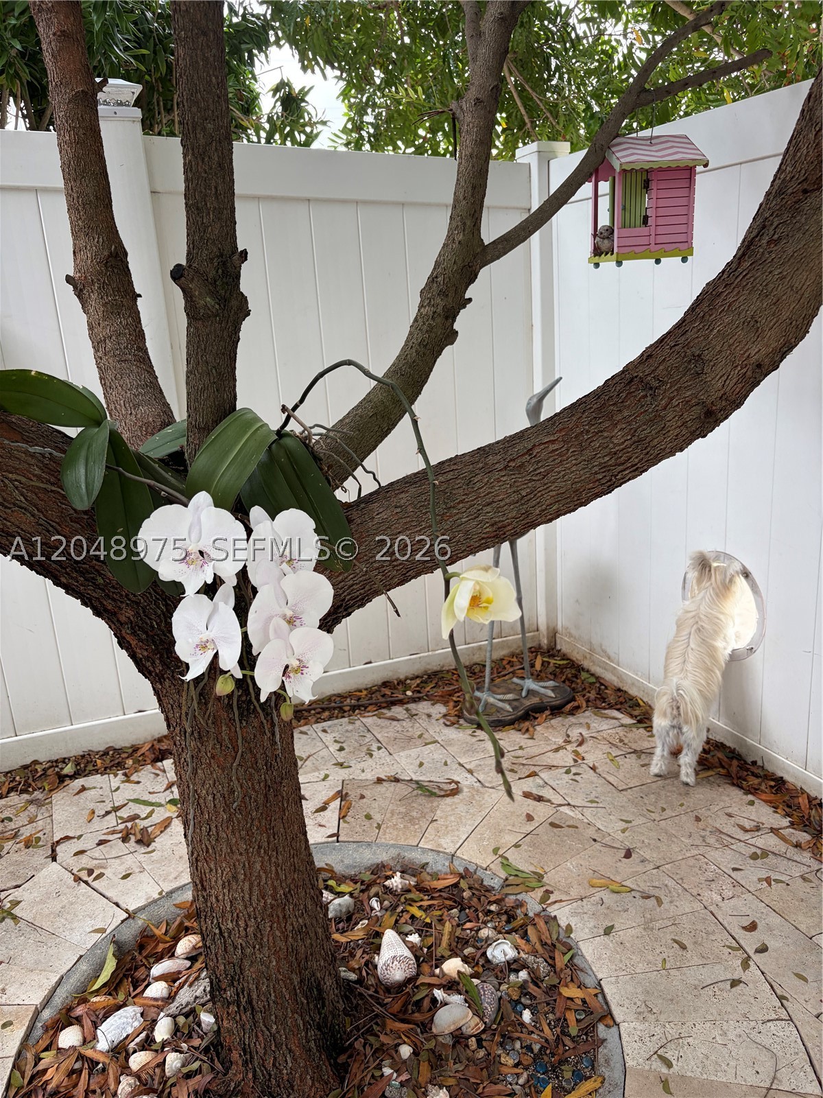 1401 Argonaut Isle, Dania Beach FL 33004