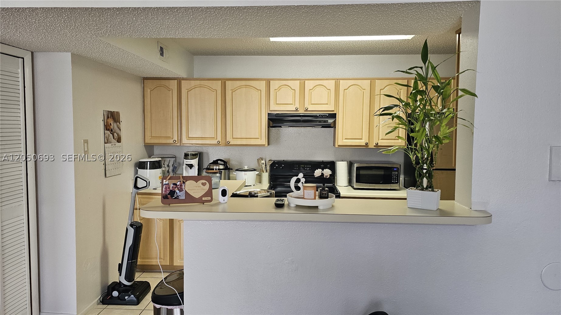 15077 SW 103rd Ter #8202, Miami FL 33196