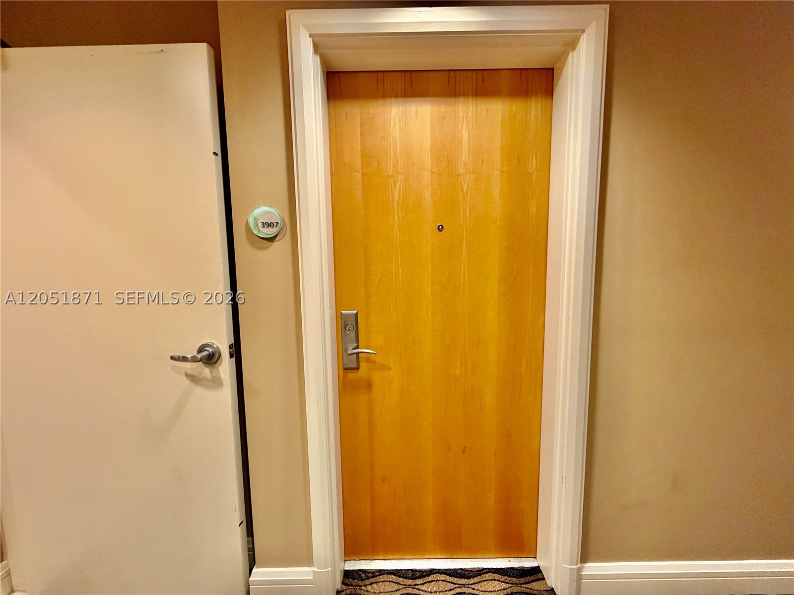 253 NE 2nd St #3907, Miami FL 33132