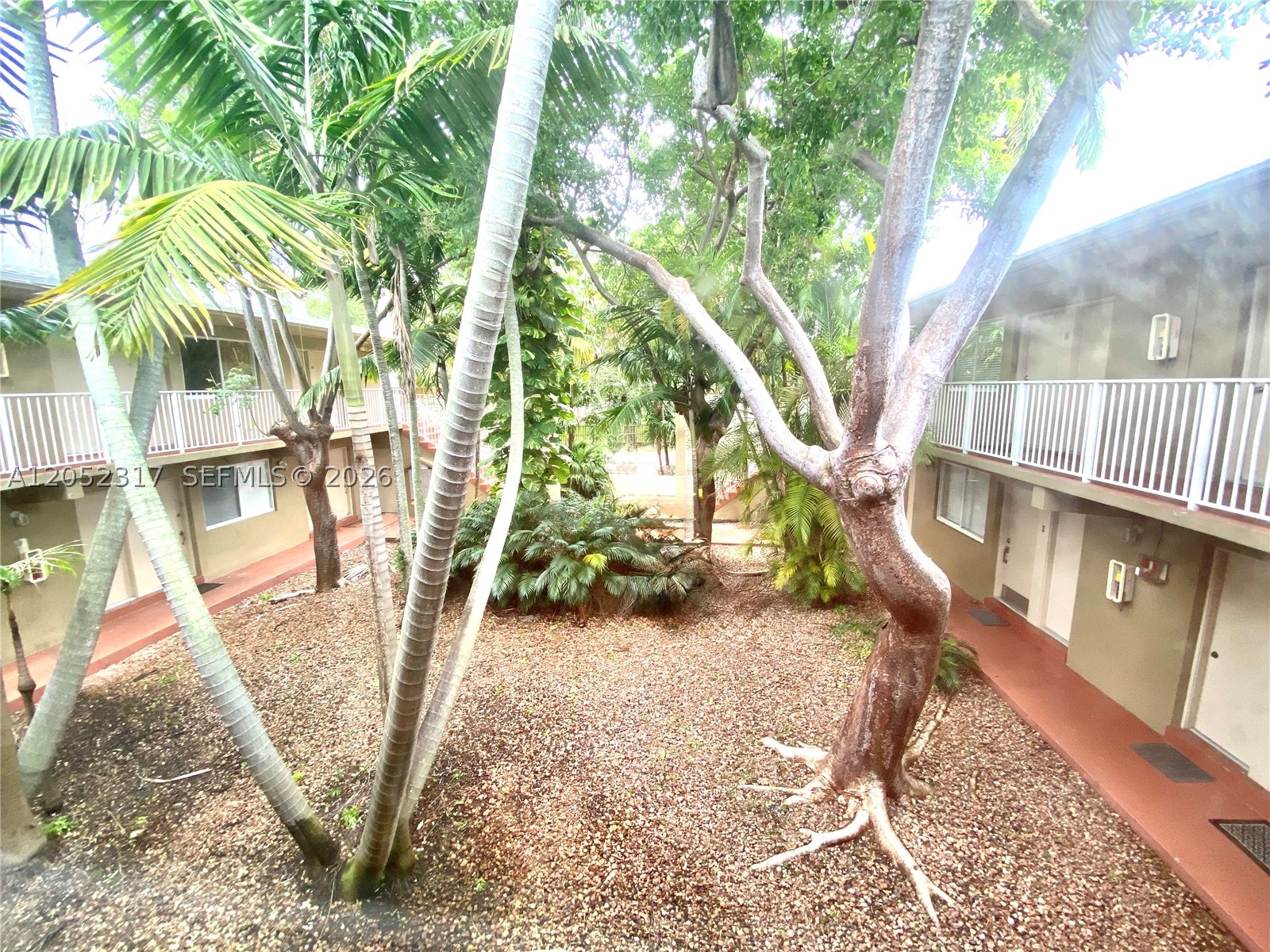 6330 SW 79th St #7, South Miami FL 33143