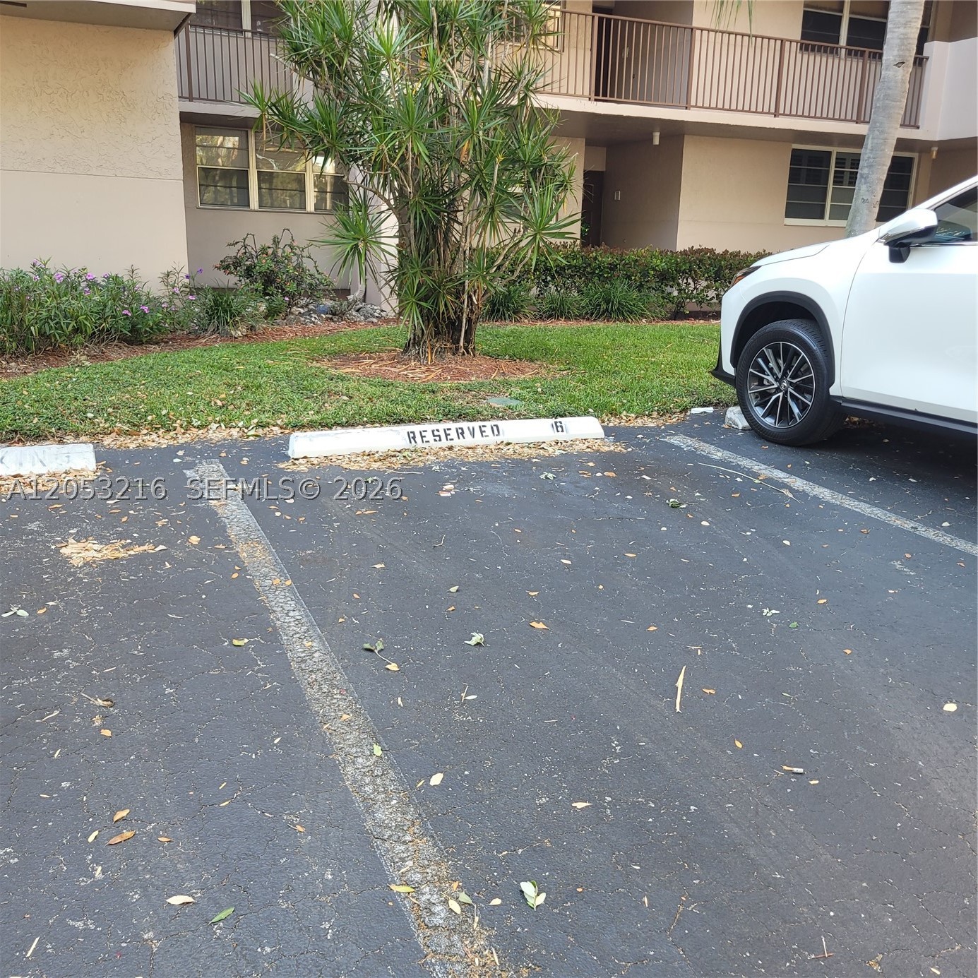1811 Sabal Palm Dr #306, Davie FL 33324