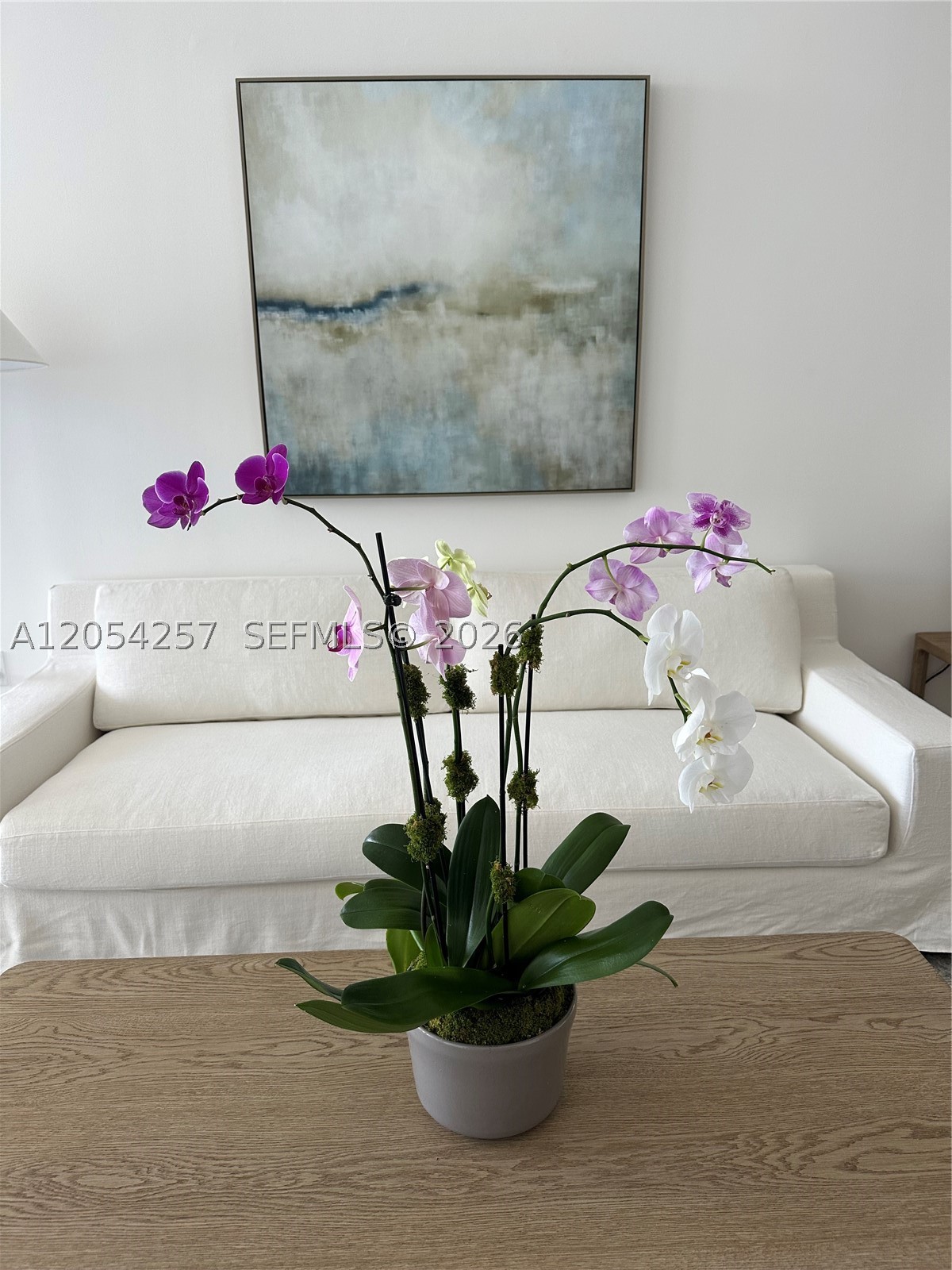 2831 S Bayshore Dr #1701, Coconut Grove FL 33133