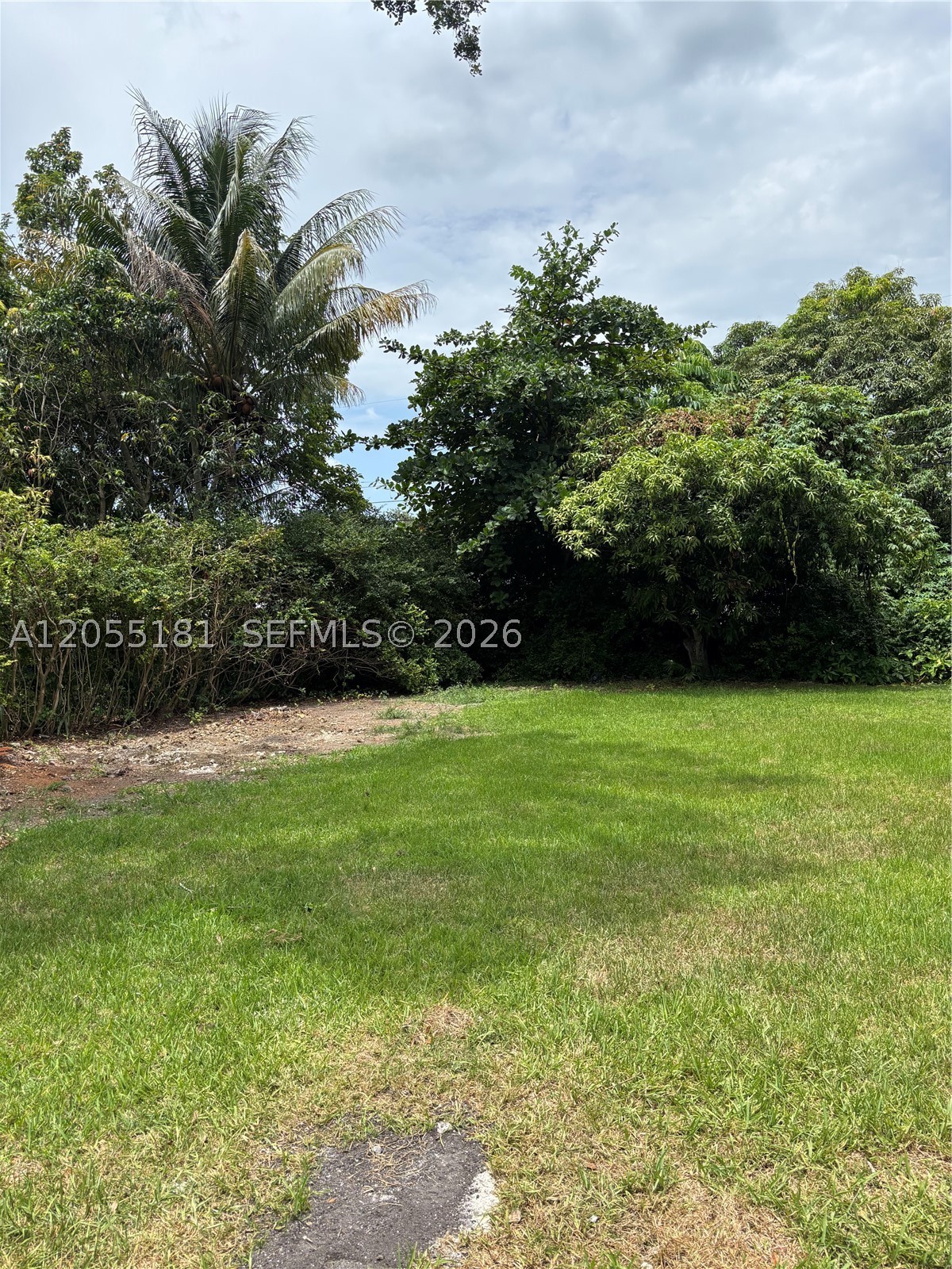 South Miami FL 33143 - A12055181