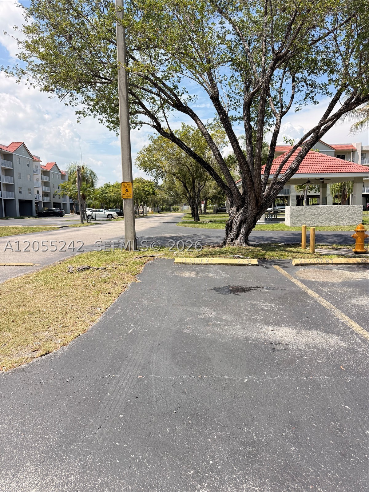 8240 SW 210th St #203, Cutler Bay FL 33189