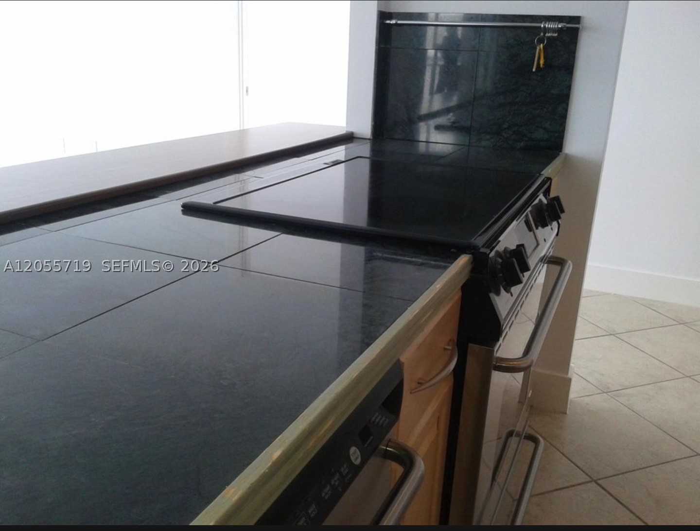 11930 N Bayshore Dr #1006, North Miami FL 33181