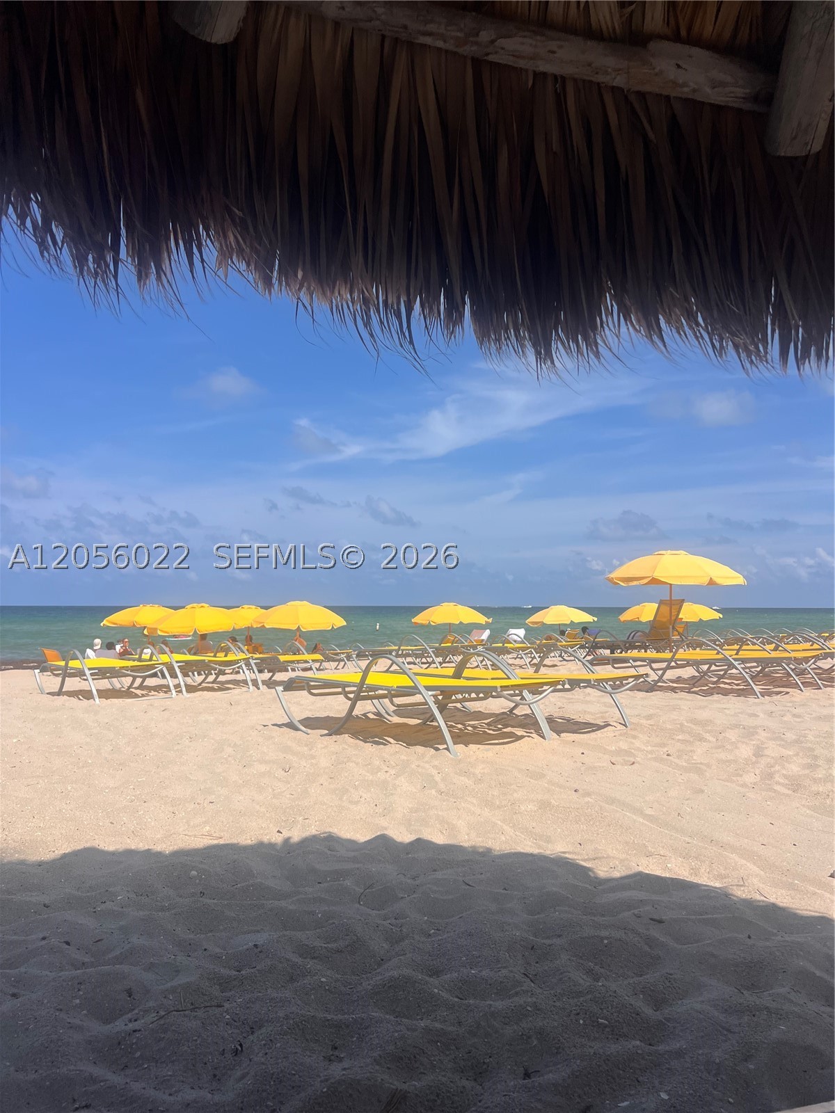 628 N Island, Golden Beach FL 33160