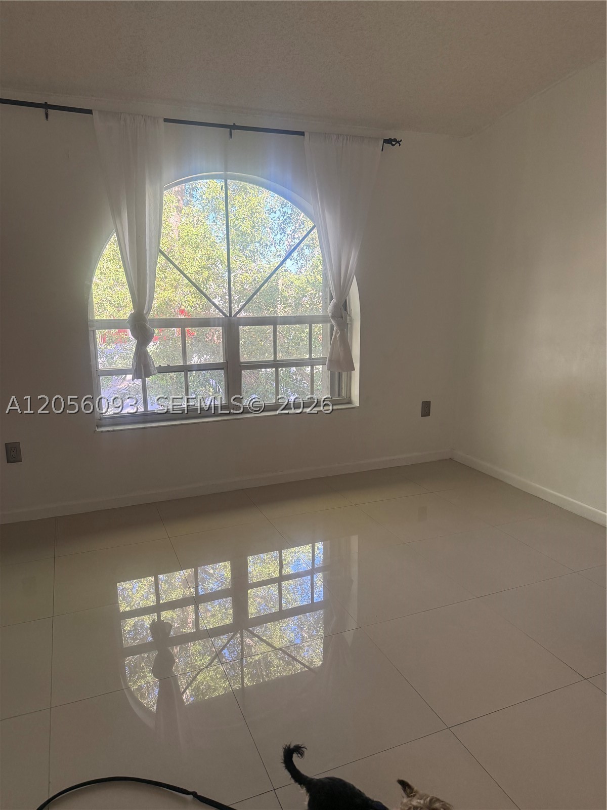 10010 Hammocks Blvd #203-2, Miami FL 33196