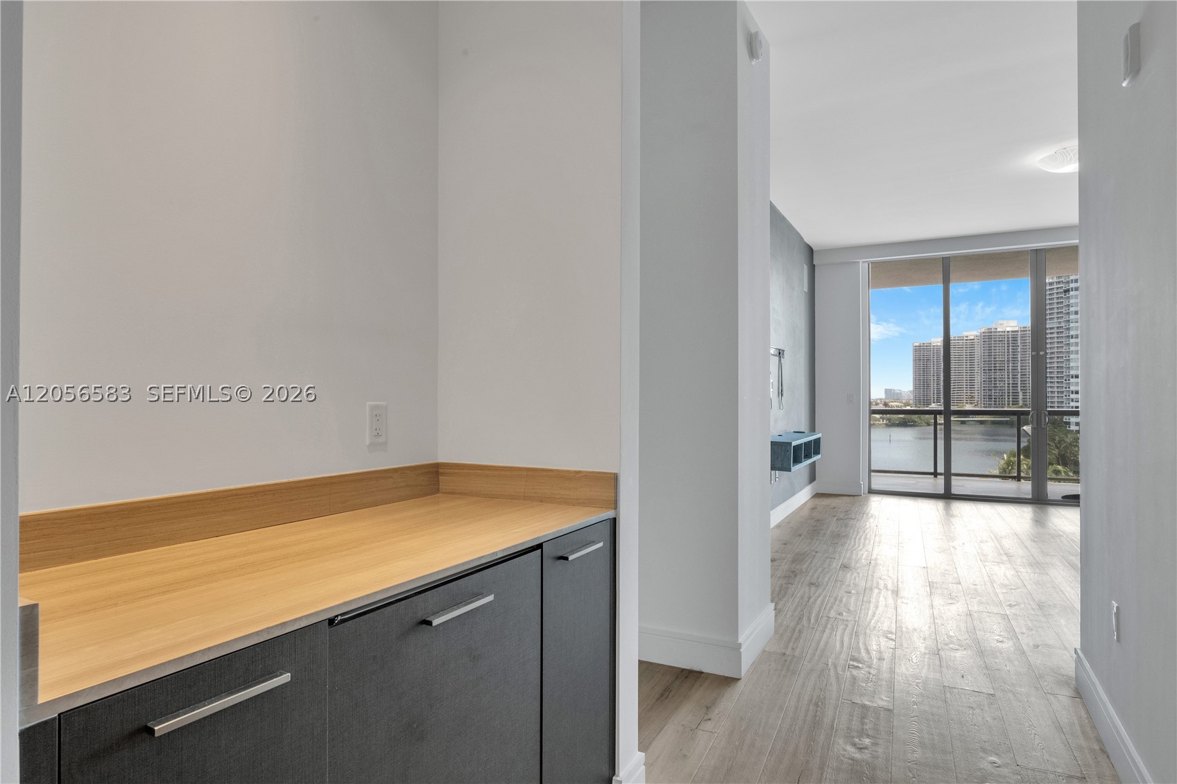 3300 NE 188 St. #611, Aventura FL 33180