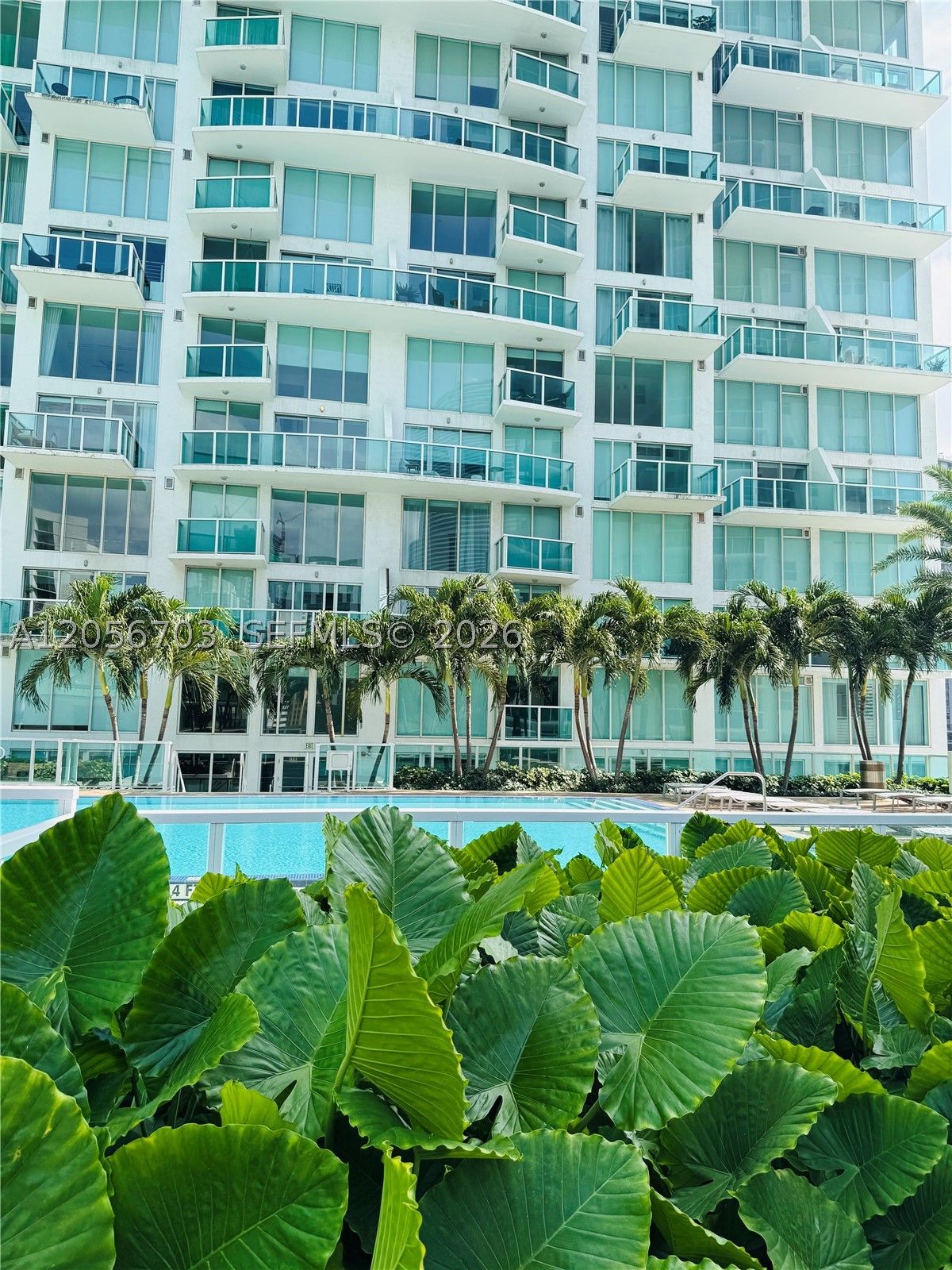 41 SE 5th #2204, Miami FL 33131