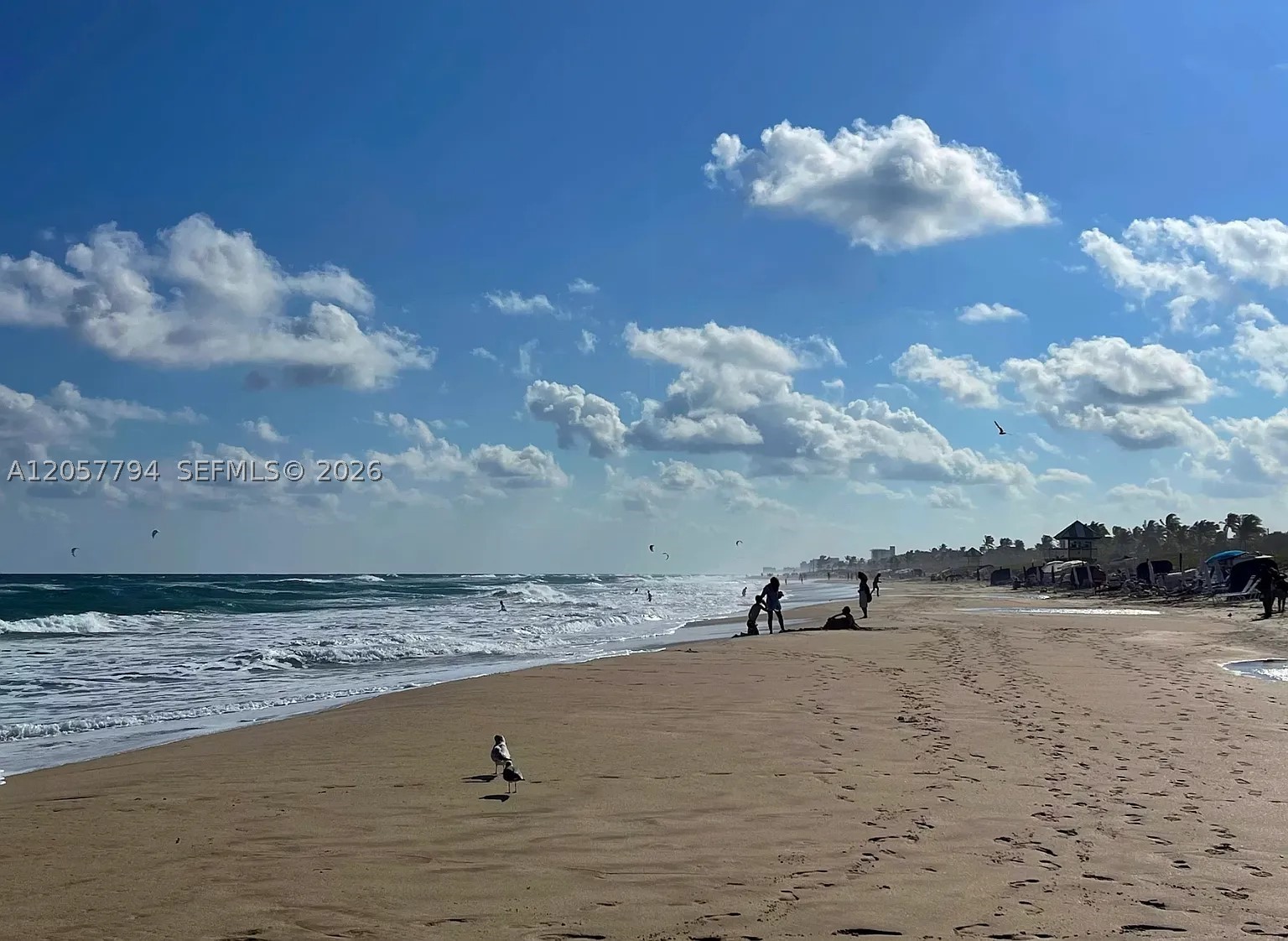 1931 NE 2nd St #405, Deerfield Beach FL 33441
