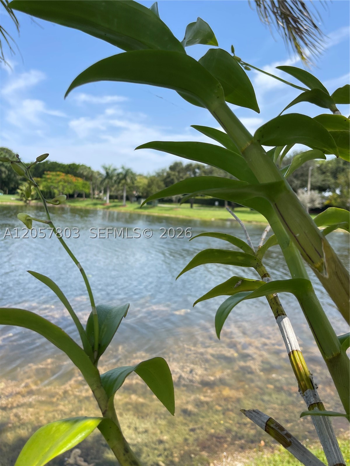 340 SW 167th Ave, Pembroke Pines FL 33027