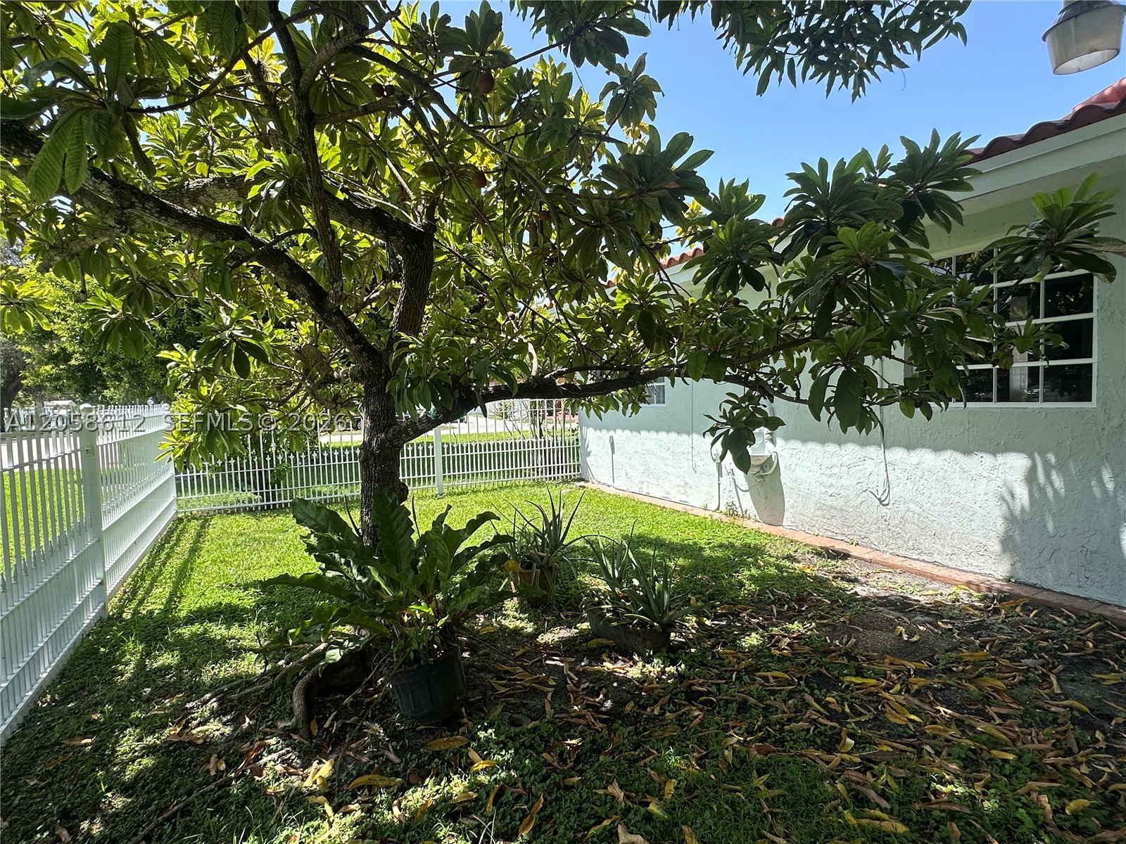 6401 SW 39th Ter, Miami FL 33155