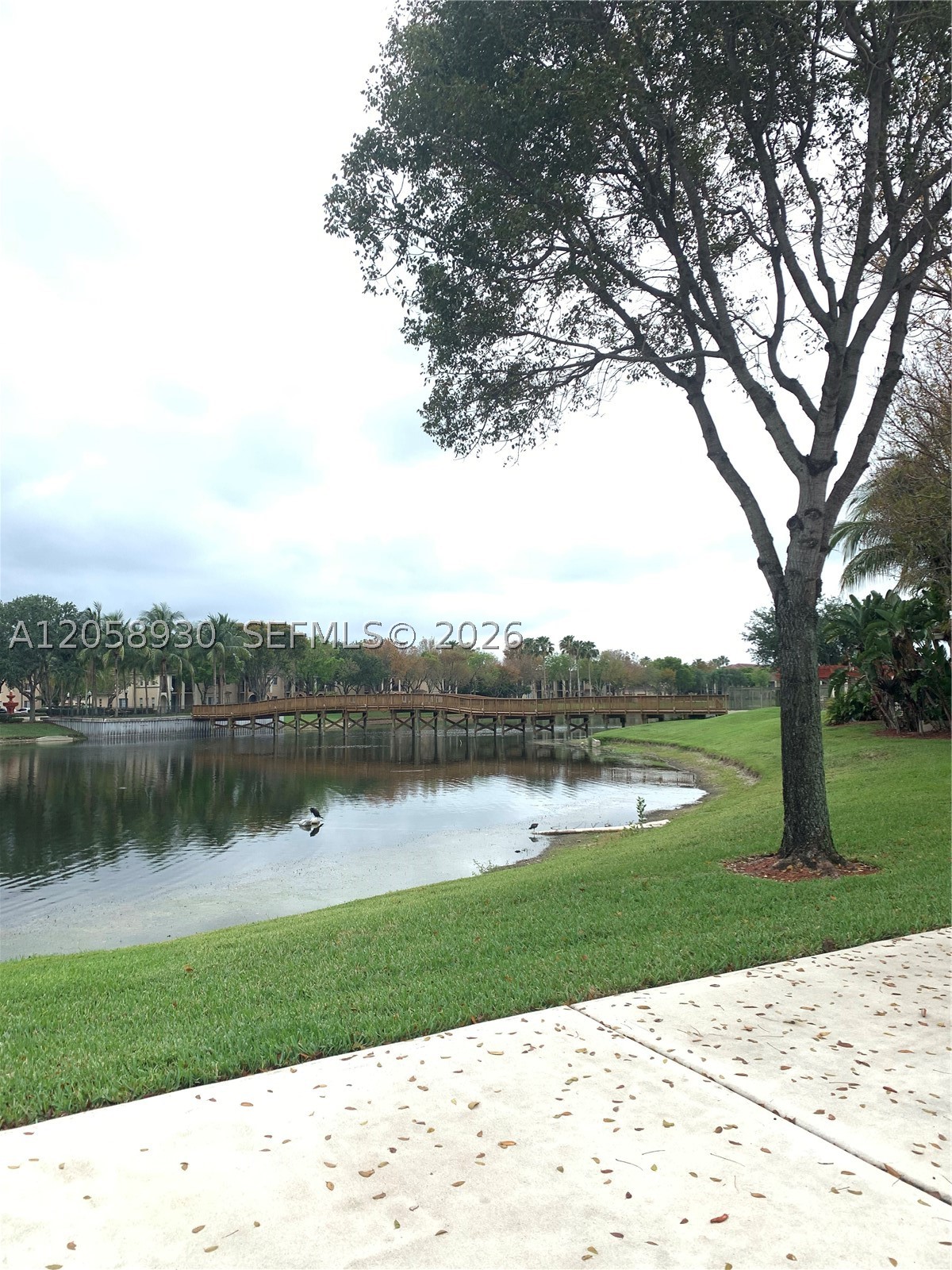 2427 Centergate Dr #305, Miramar FL 33025