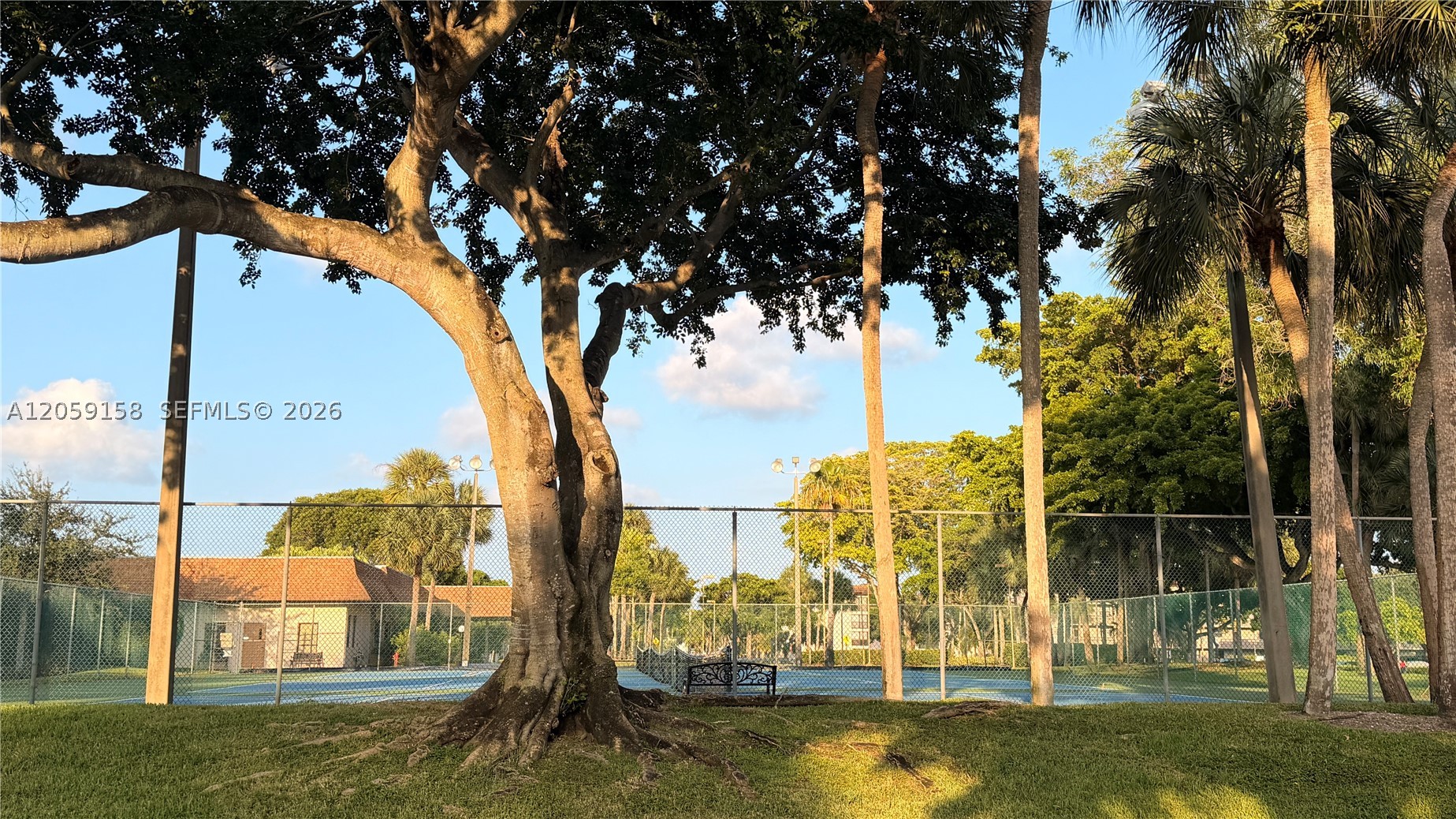 6090 N Sabal Palm Blvd #311, Tamarac FL 33319
