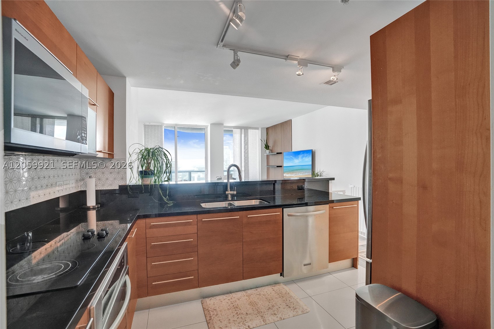 244 Biscayne Blvd #3409, Miami FL 33132