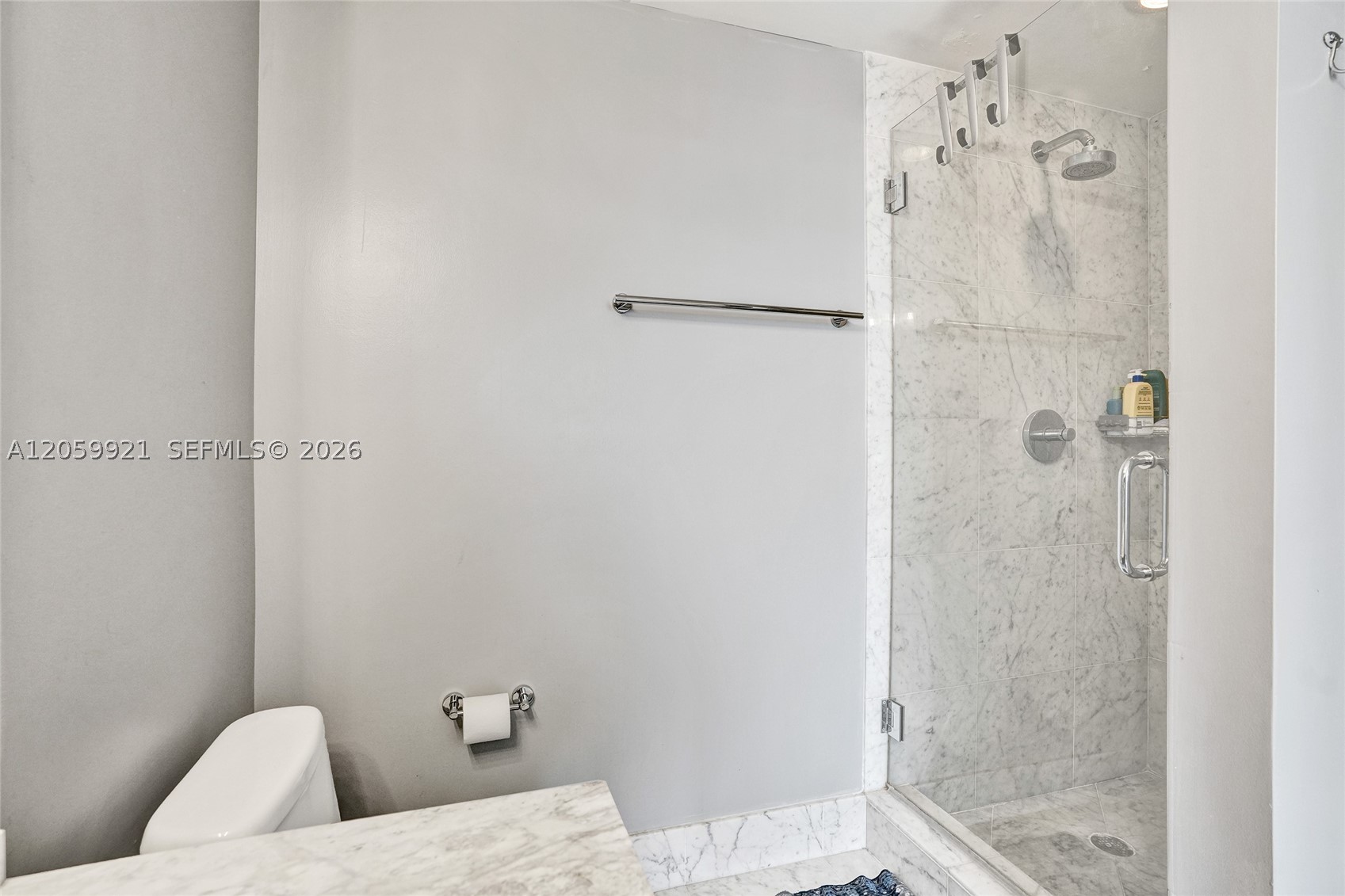 244 Biscayne Blvd #3409, Miami FL 33132