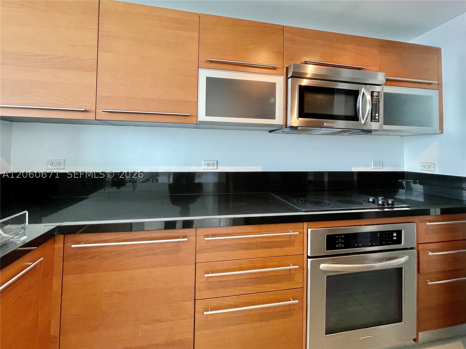 244 Biscayne Blvd #4307, Miami FL 33132