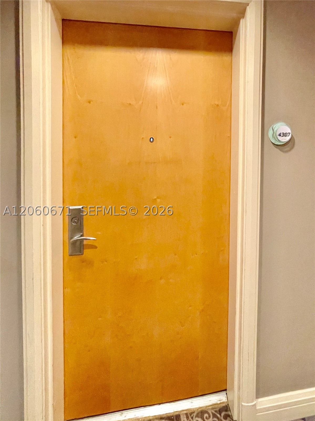 244 Biscayne Blvd #4307, Miami FL 33132
