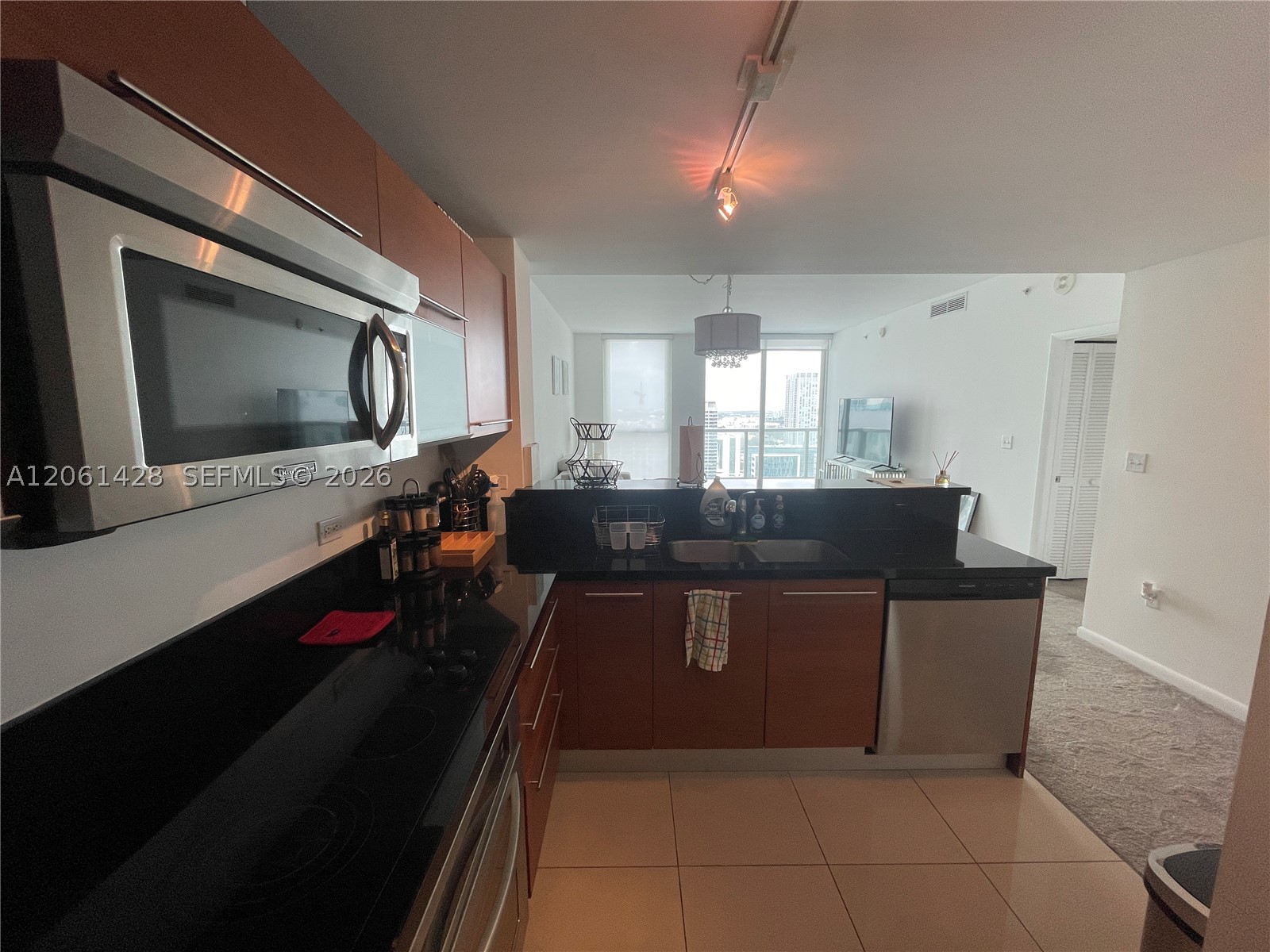 253 NE 2nd St #3806, Miami FL 33132