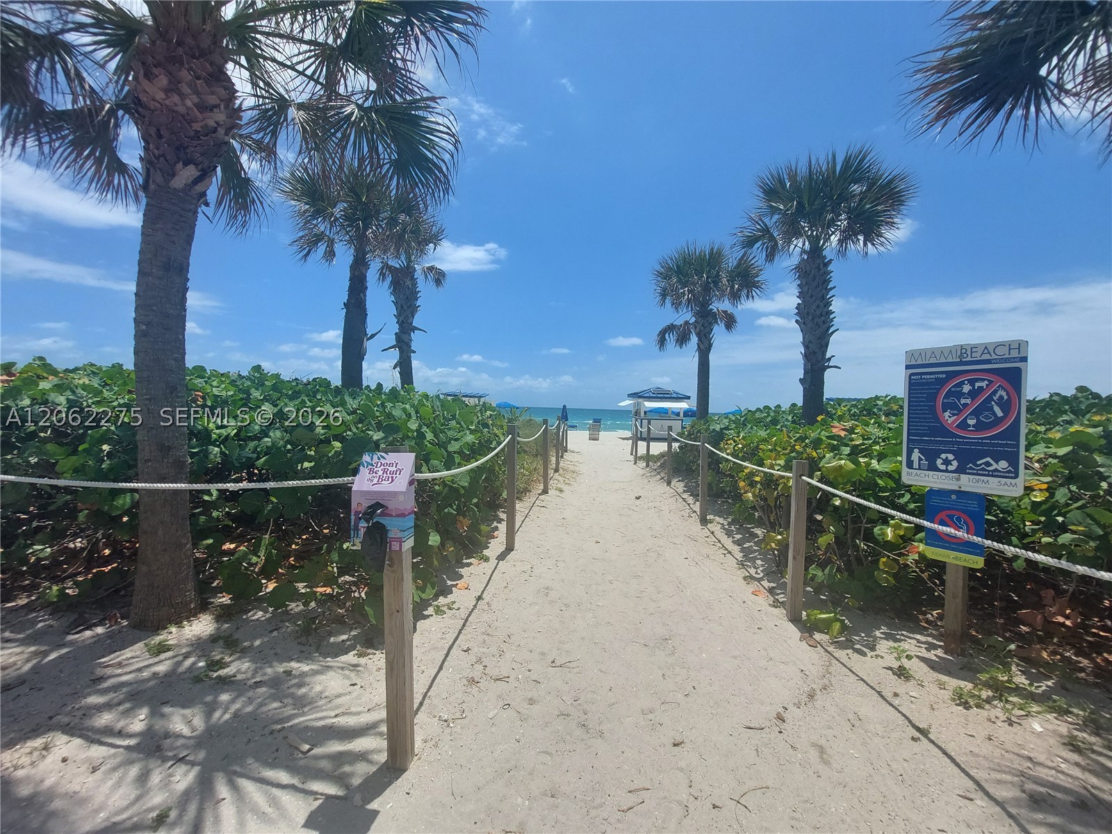 6365 Collins Ave #905, Miami Beach FL 33141