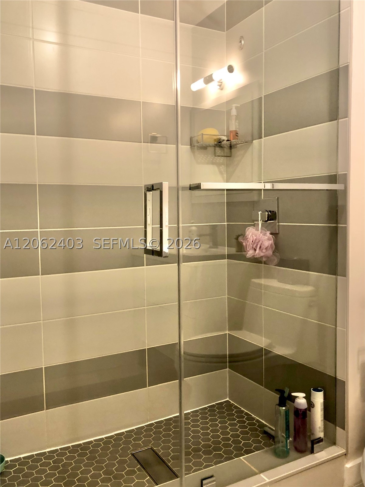1700 Meridian Ave #303, Miami Beach FL 33139