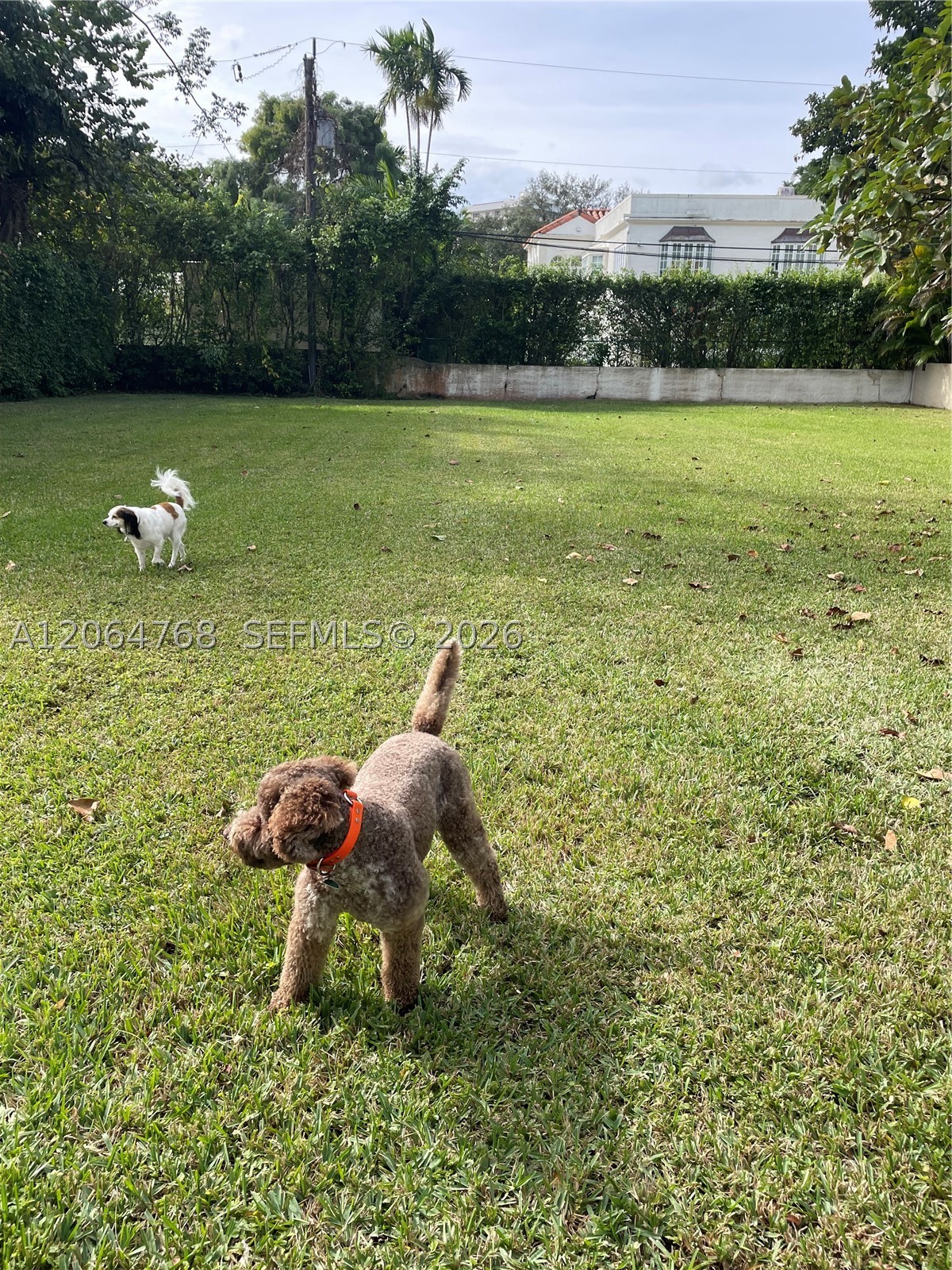 2214 Segovia Cir, Coral Gables FL 33134