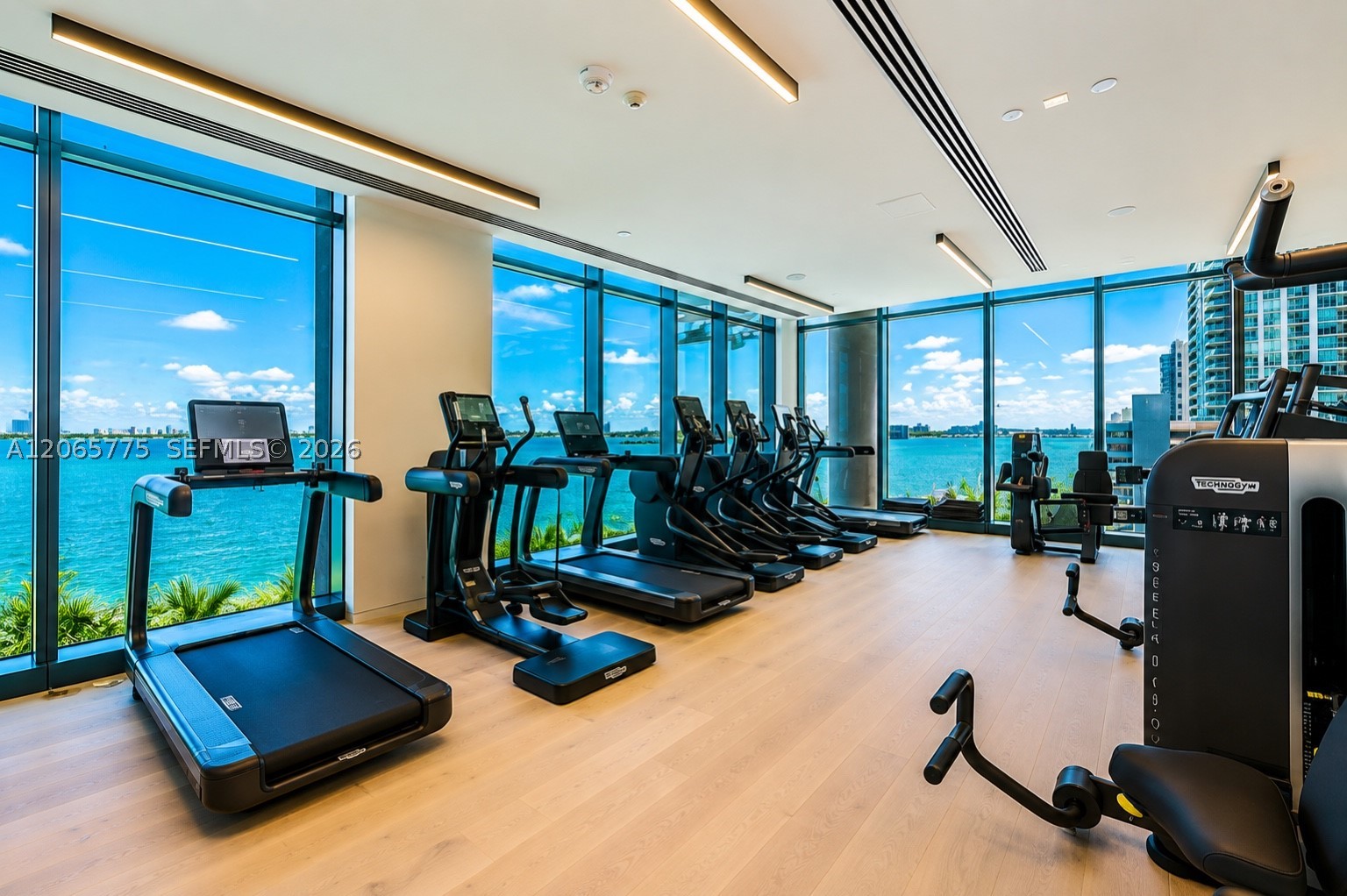 3131 NE 7th Ave #306, Miami FL 33137