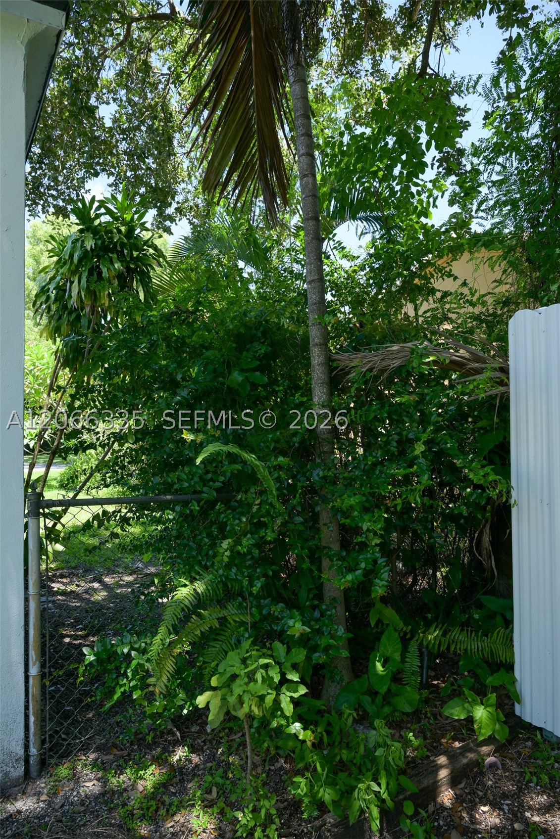 142 NW 98th St, Miami Shores FL 33150