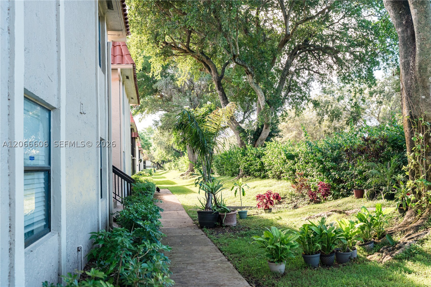 9702 Hammocks Blvd #203, Miami FL 33196