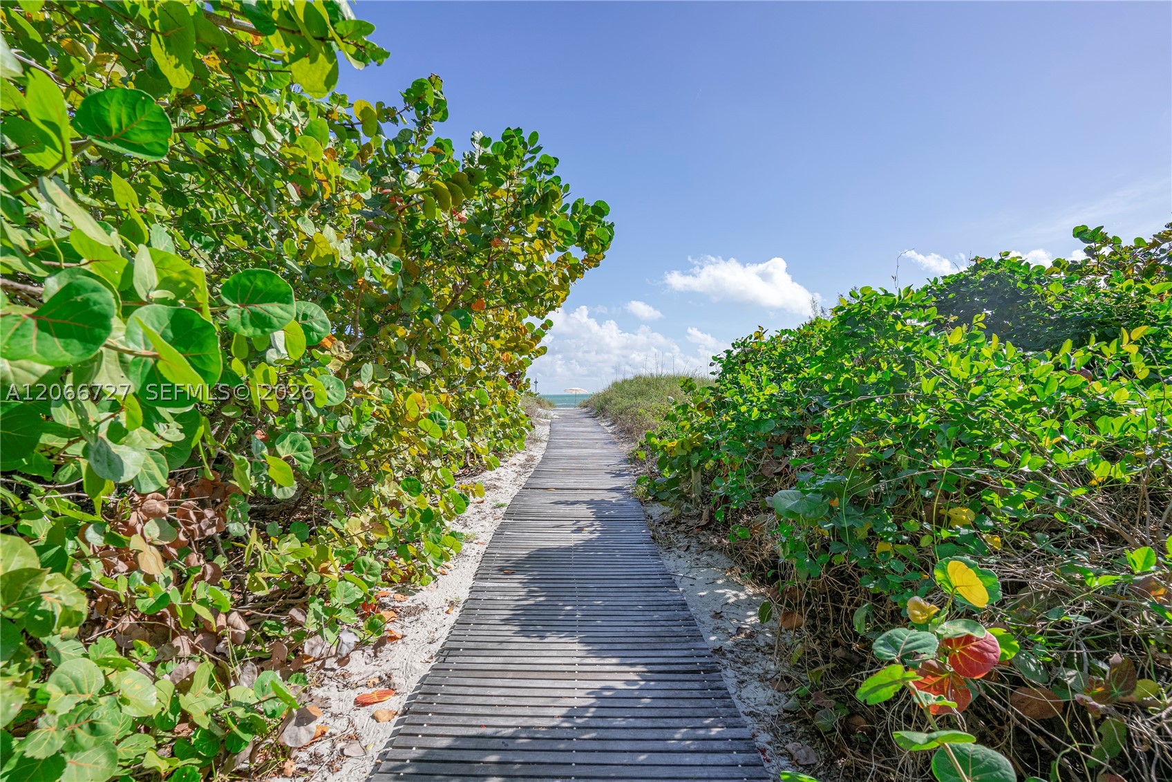 199 Ocean Lane Dr #1207, Key Biscayne FL 33149