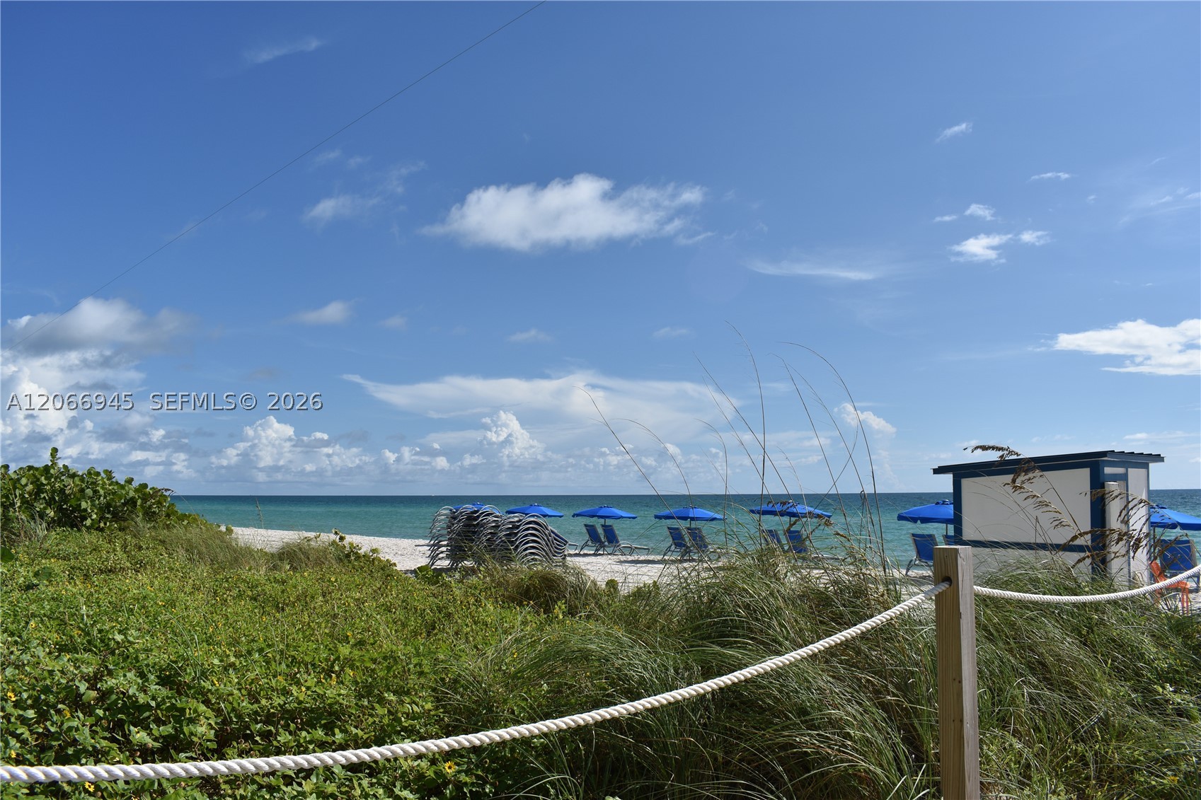 6365 Collins Ave #3804, Miami Beach FL 33141