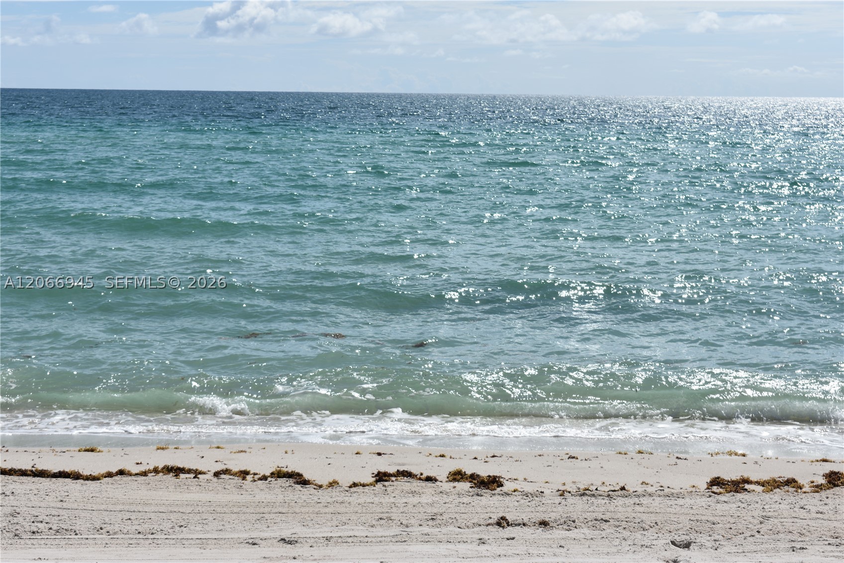 6365 Collins Ave #3804, Miami Beach FL 33141