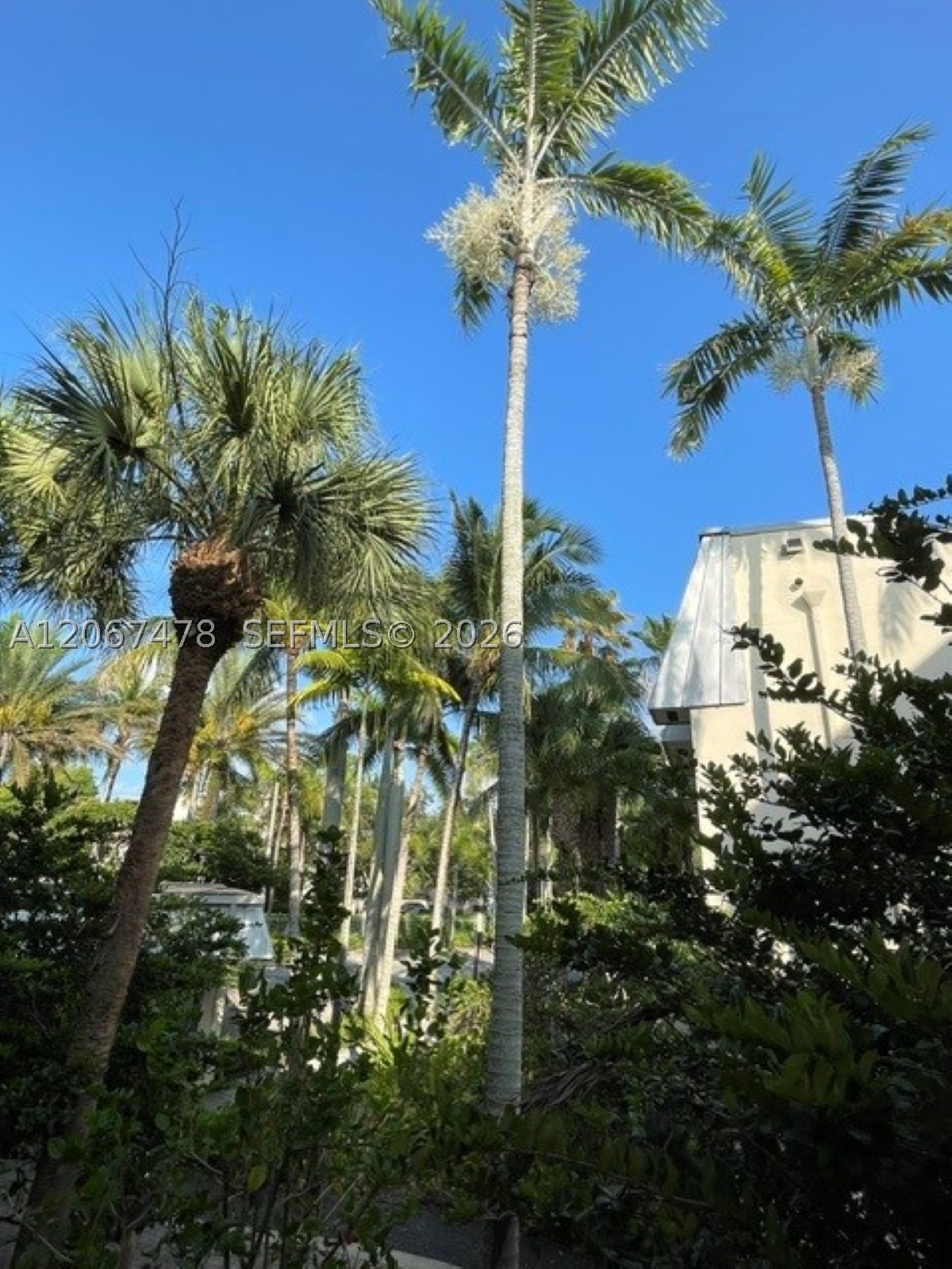 8950 SW 69th Ct #216, Pinecrest FL 33156