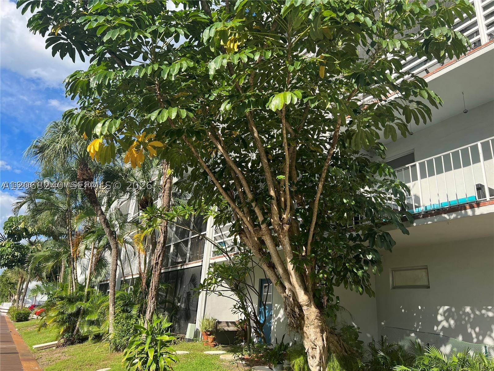 1407 NE 56th St #103, Fort Lauderdale FL 33334