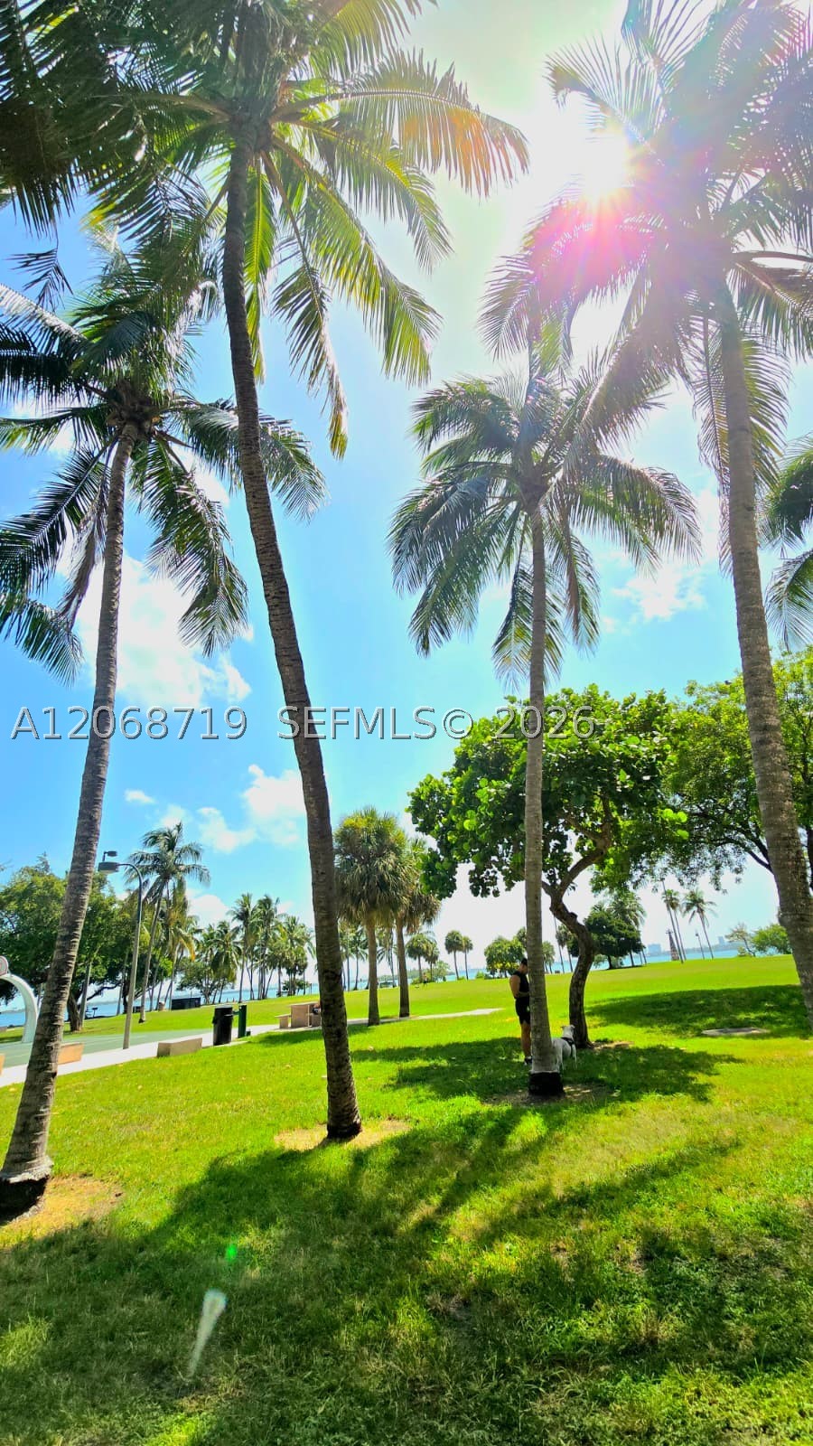1900 N Bayshore Dr #2405, Miami FL 33132