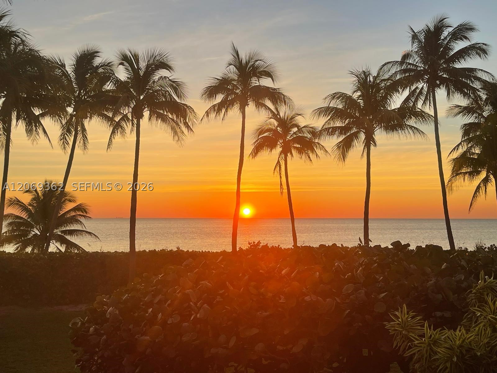 201 Crandon Blvd #175, Key Biscayne FL 33149